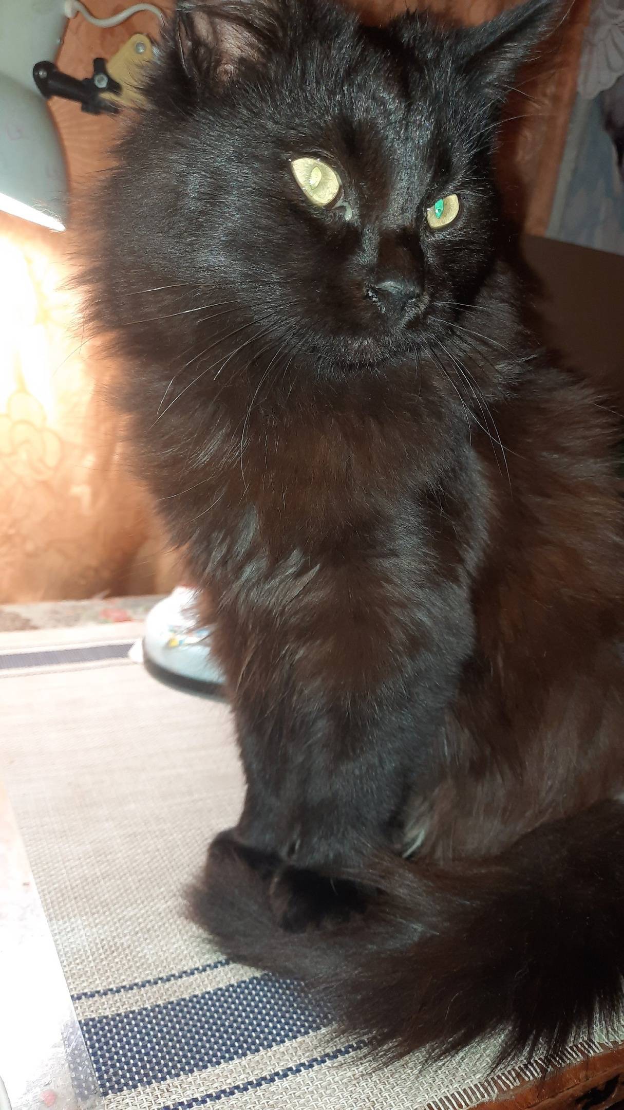 0:jpeg2024239170689208383_1706952898_main-image.jpg.x0.jpeg. 