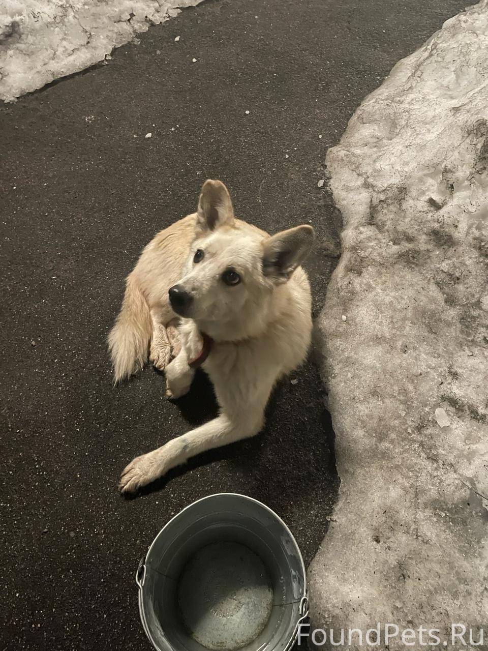 доброй ночи высказывания. подумай на ночь. подумай на ночь. ночь сон. афоризмы про ночь.