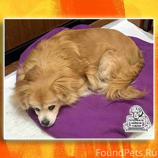 Киев, р-н Куреневский парк. 01...