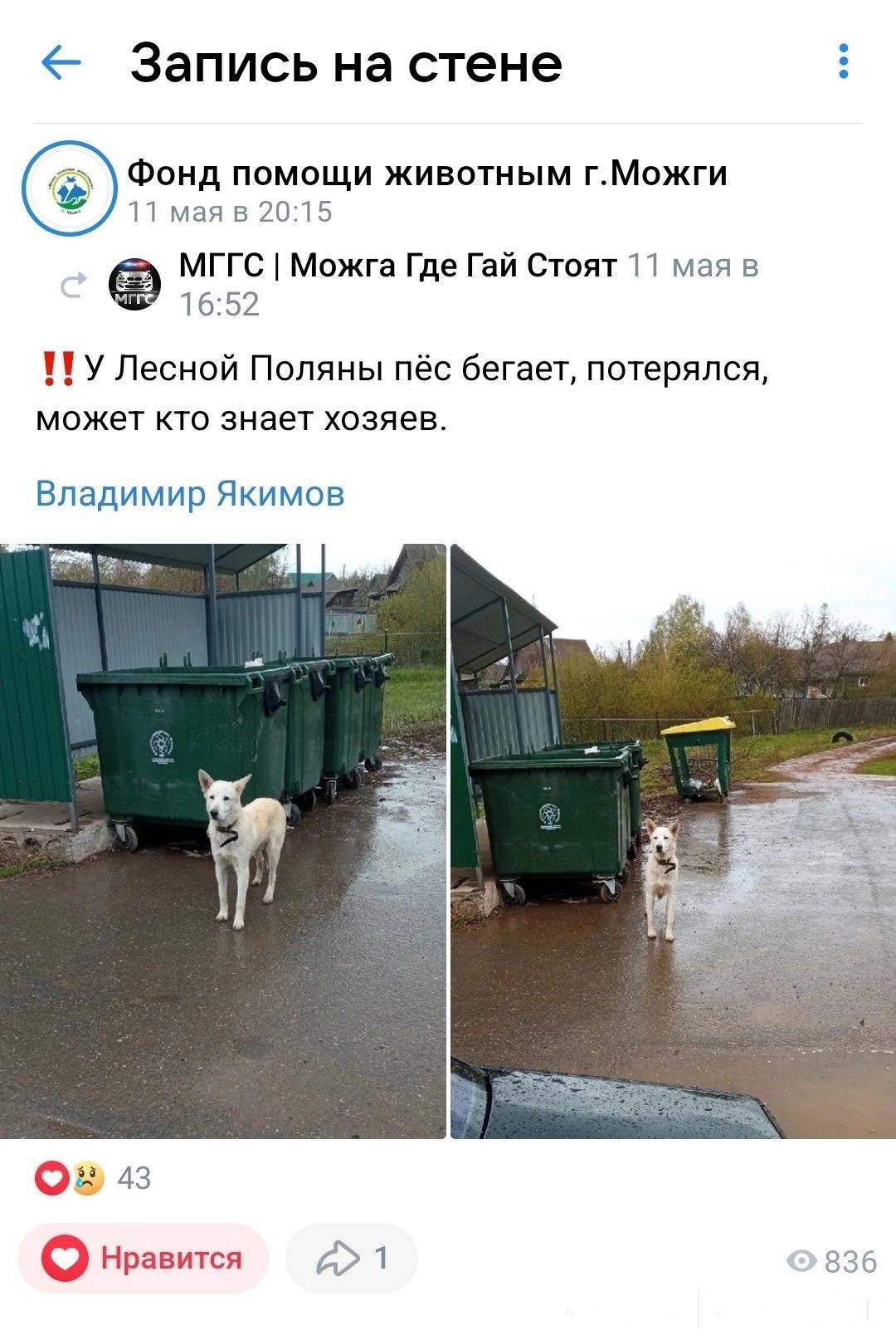 Объявление. Добрый день,вот этот пес был.....