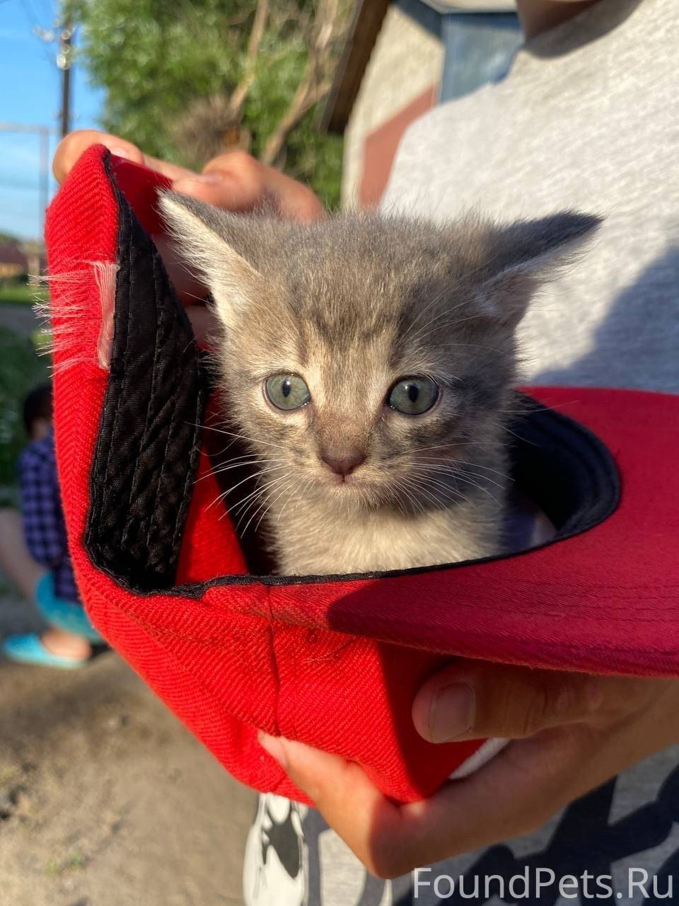 Объявление. ШЕСТЬ МАЛЫШЕЙ ИЩУТ ДОМ🥺 На Южн...