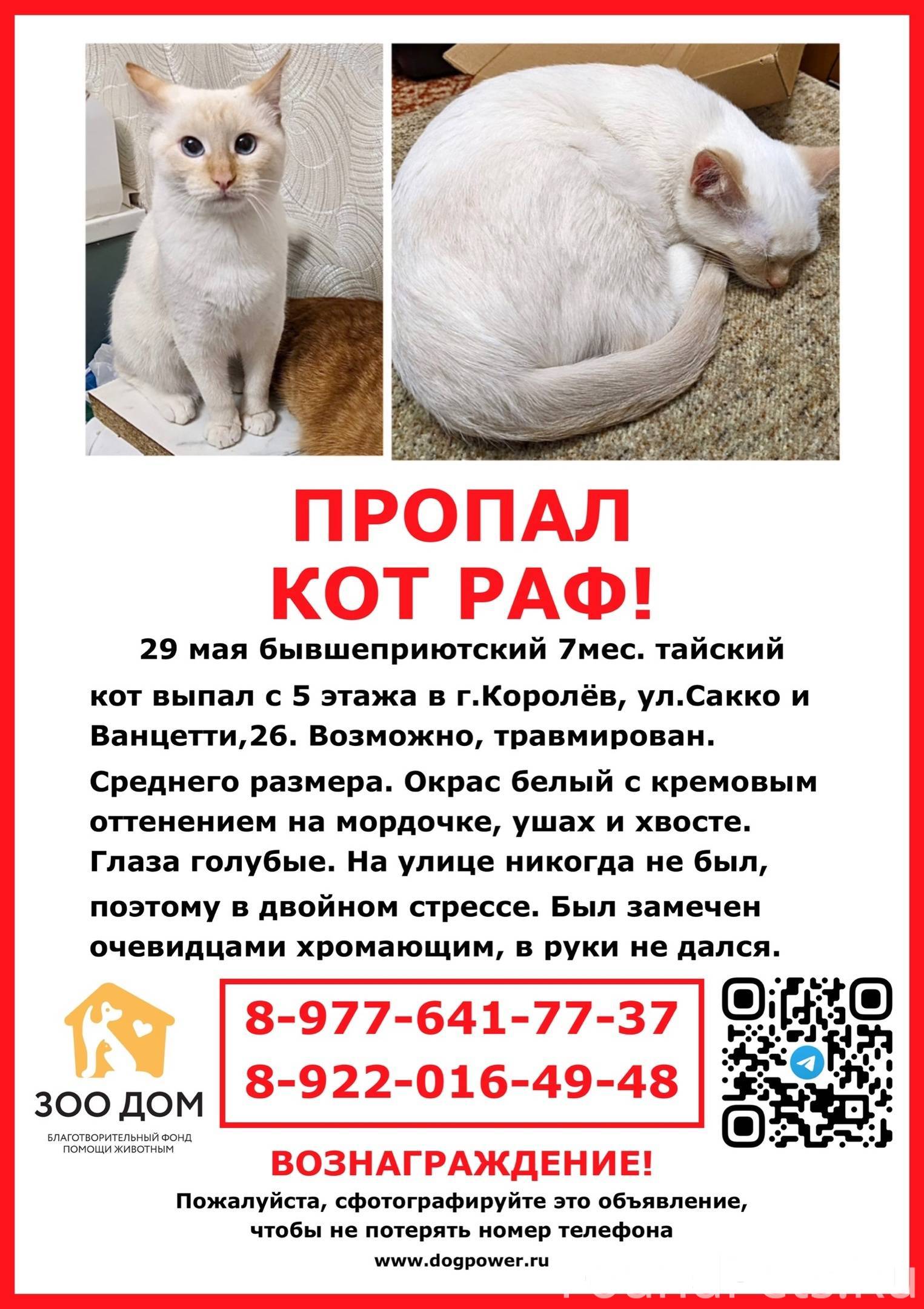 Объявление. 🆘 ПРОПАЛ КОТ 🆘 Королёв, ул...