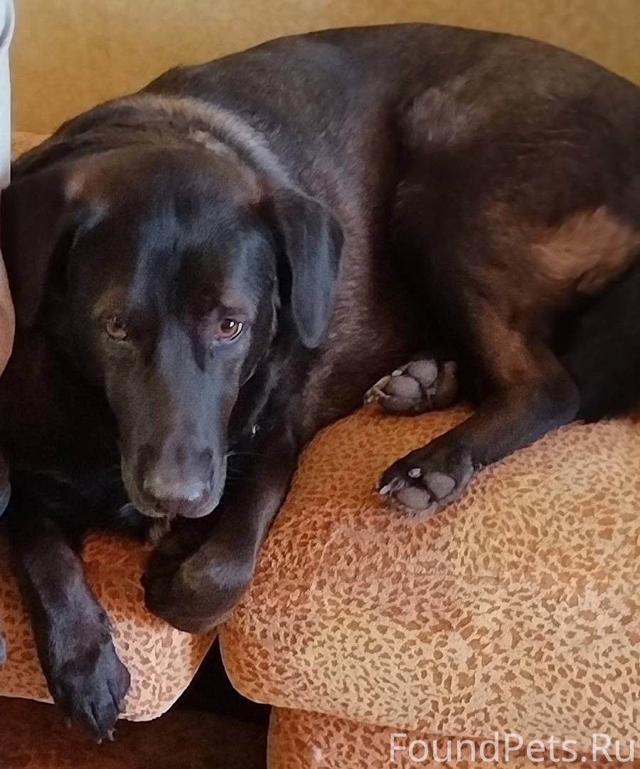 📢📢СОС РЕПОСТ🙏🙏КРИК ДУШИ ПРОСТО...