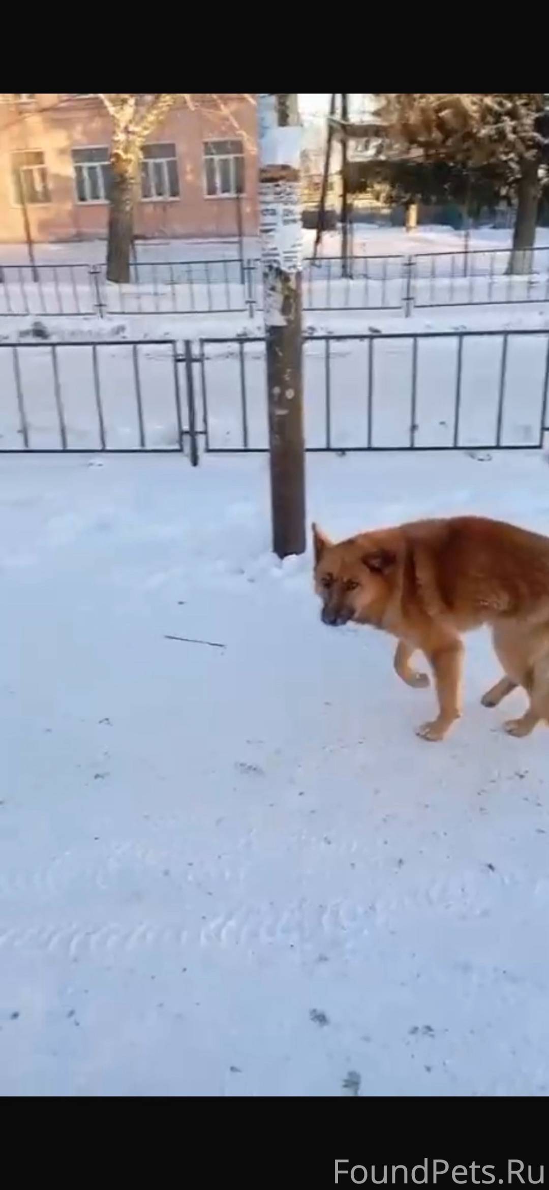 Деревня Гусева, Малые Брусяны,...