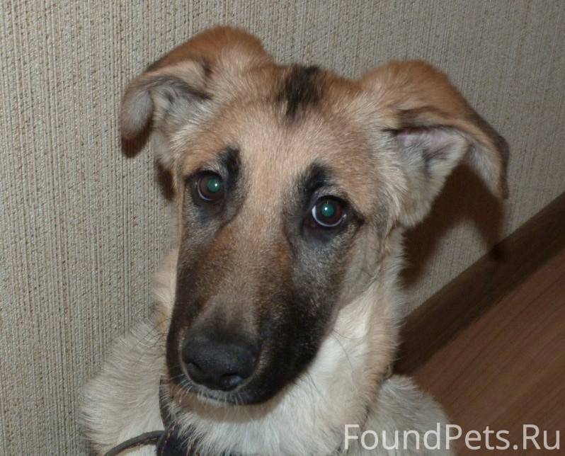 Продолжение 1 Я не помню, чтоб...