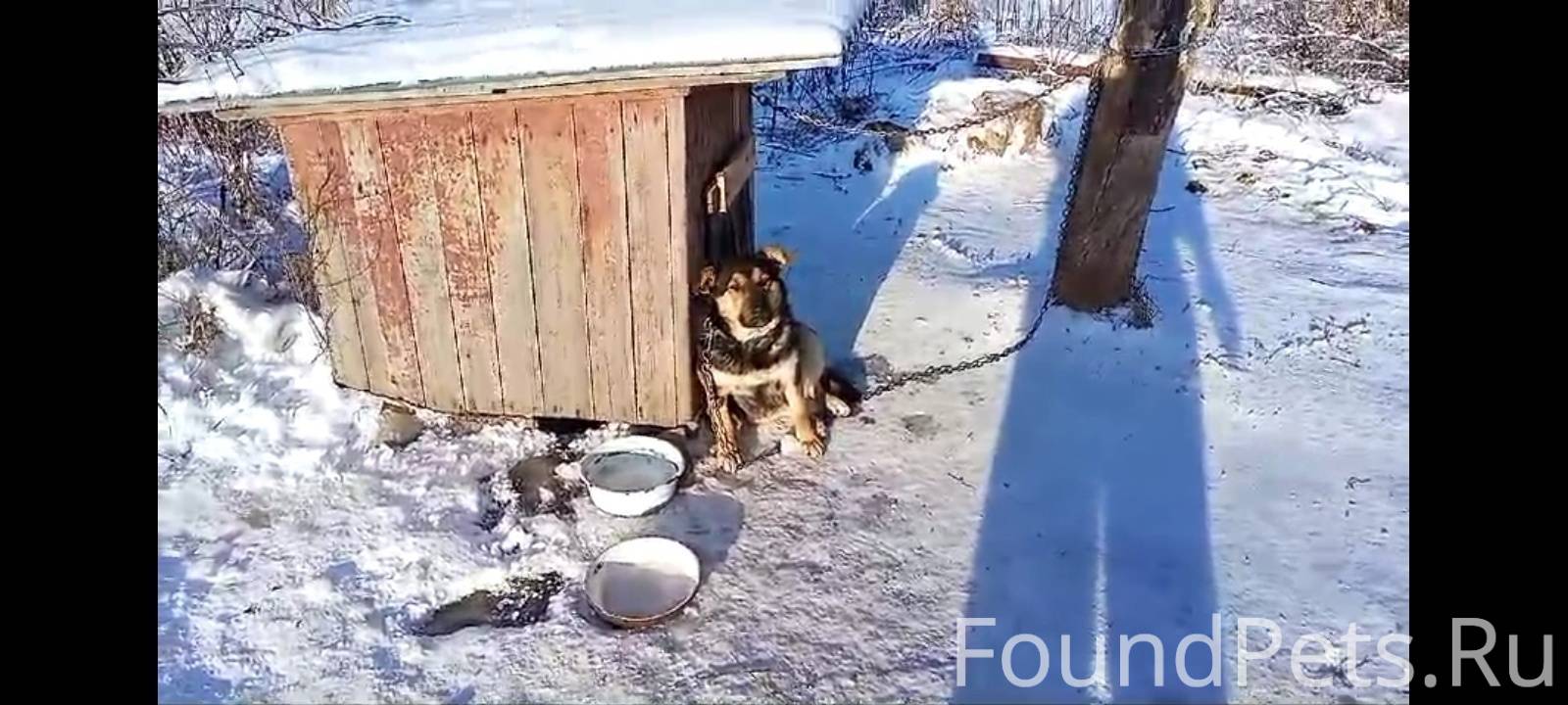 Щекино!Друзья!Помогите репосто...