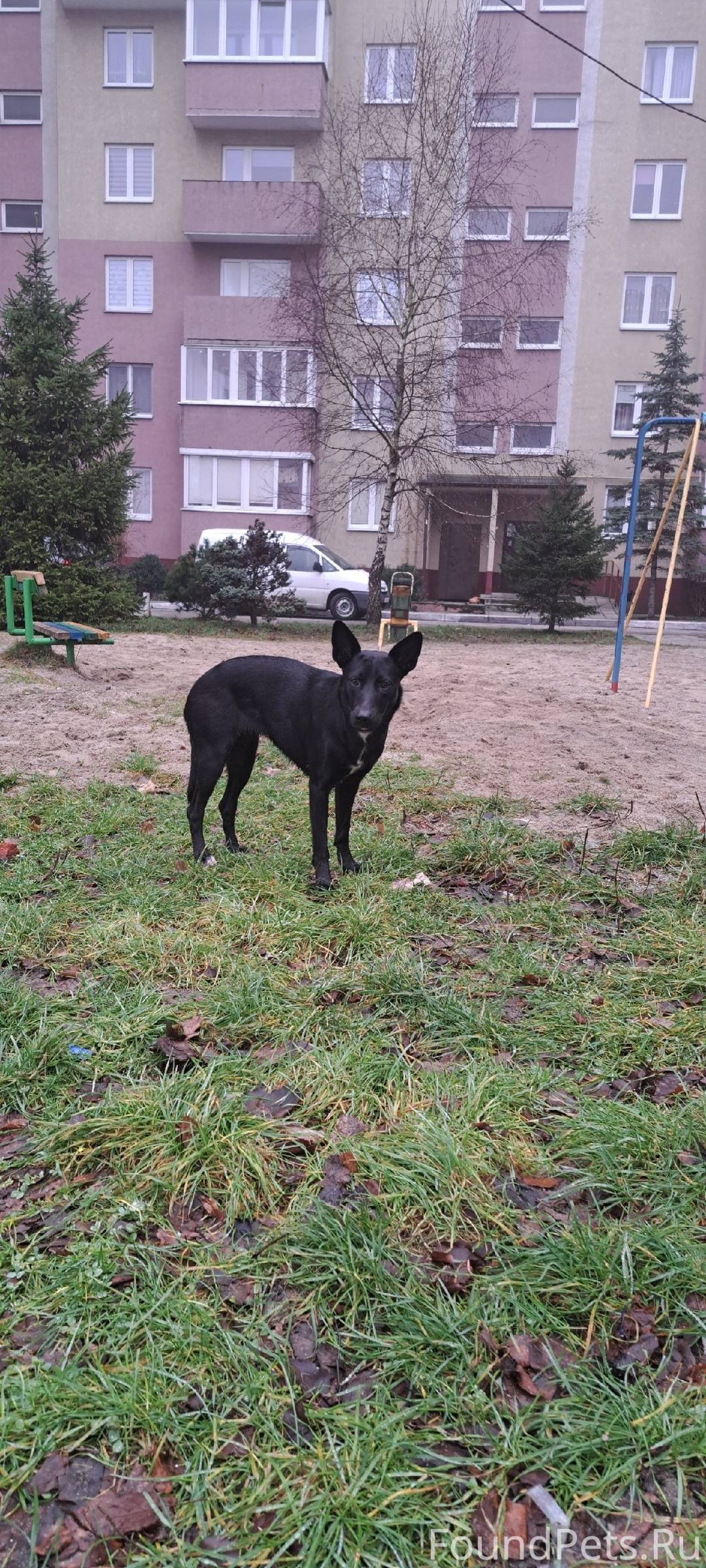 В районе ул. У. Громовой дома....