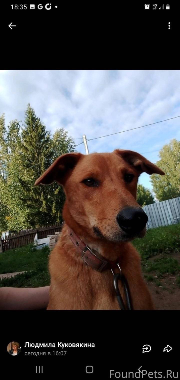 16 января в пгт Нагорск потеря...