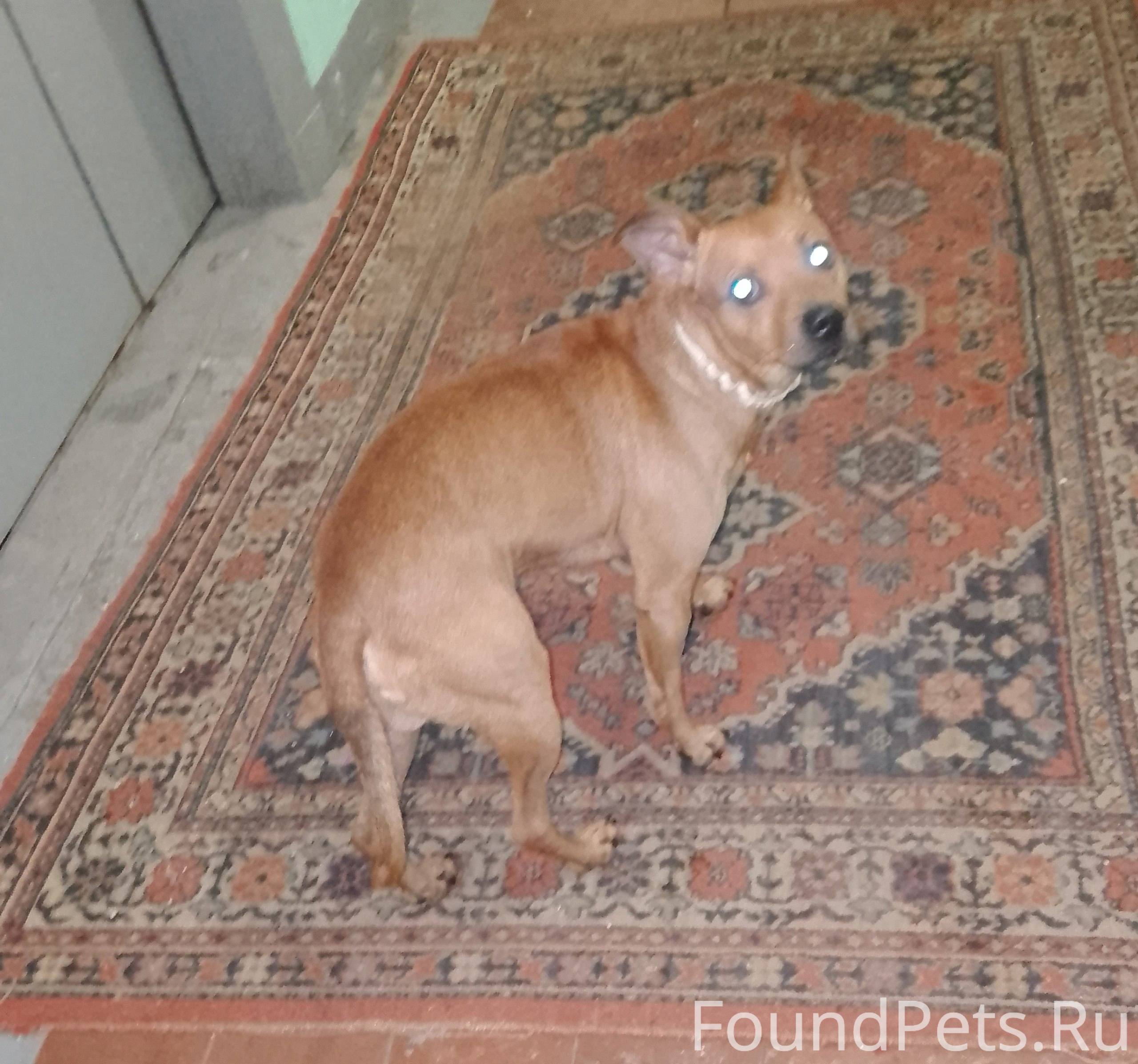 6 января примерно в 20:30...