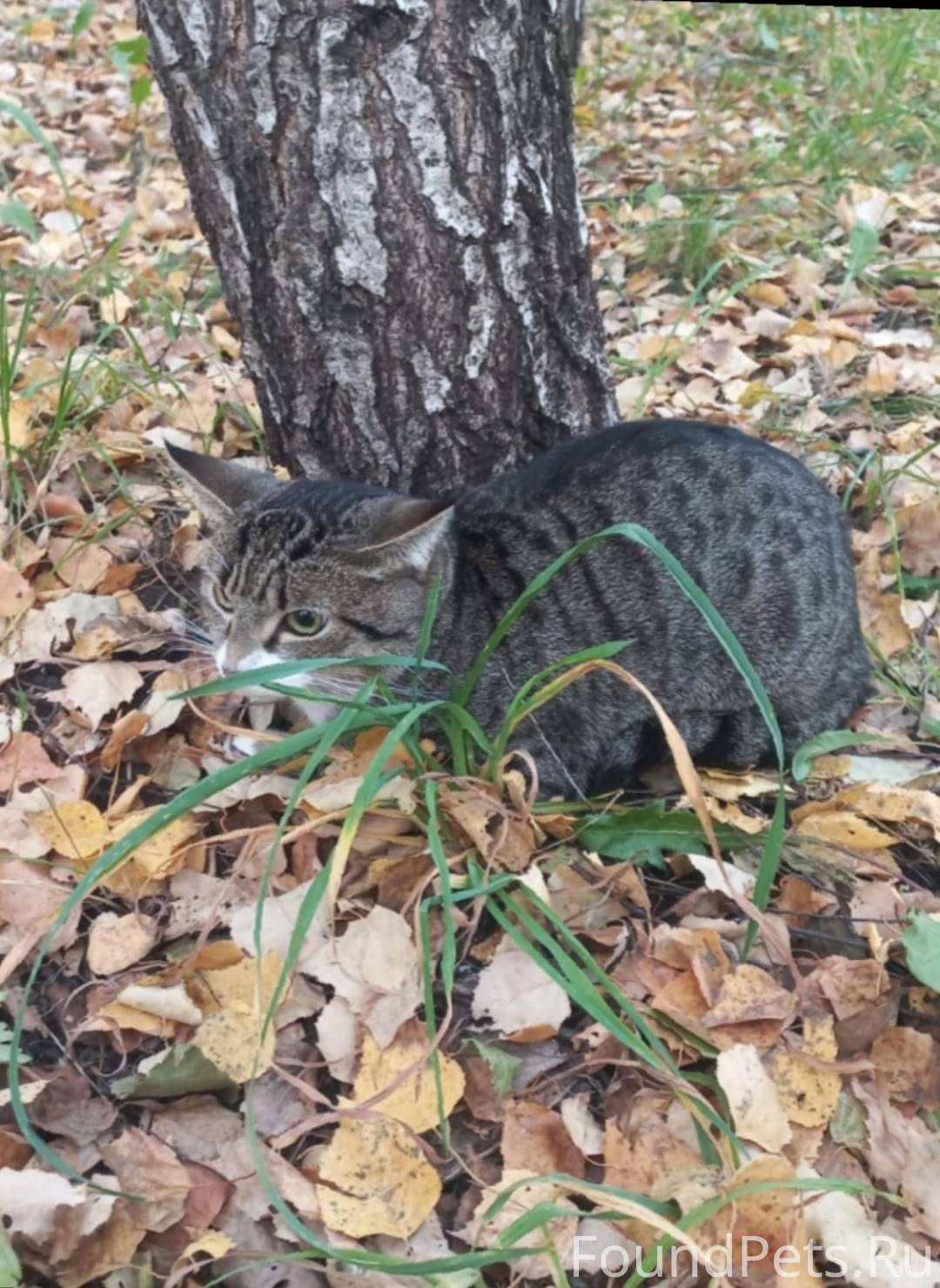 🆘🆘🆘 ‼️СРОЧНО Альметьевск ‼️ "К...
