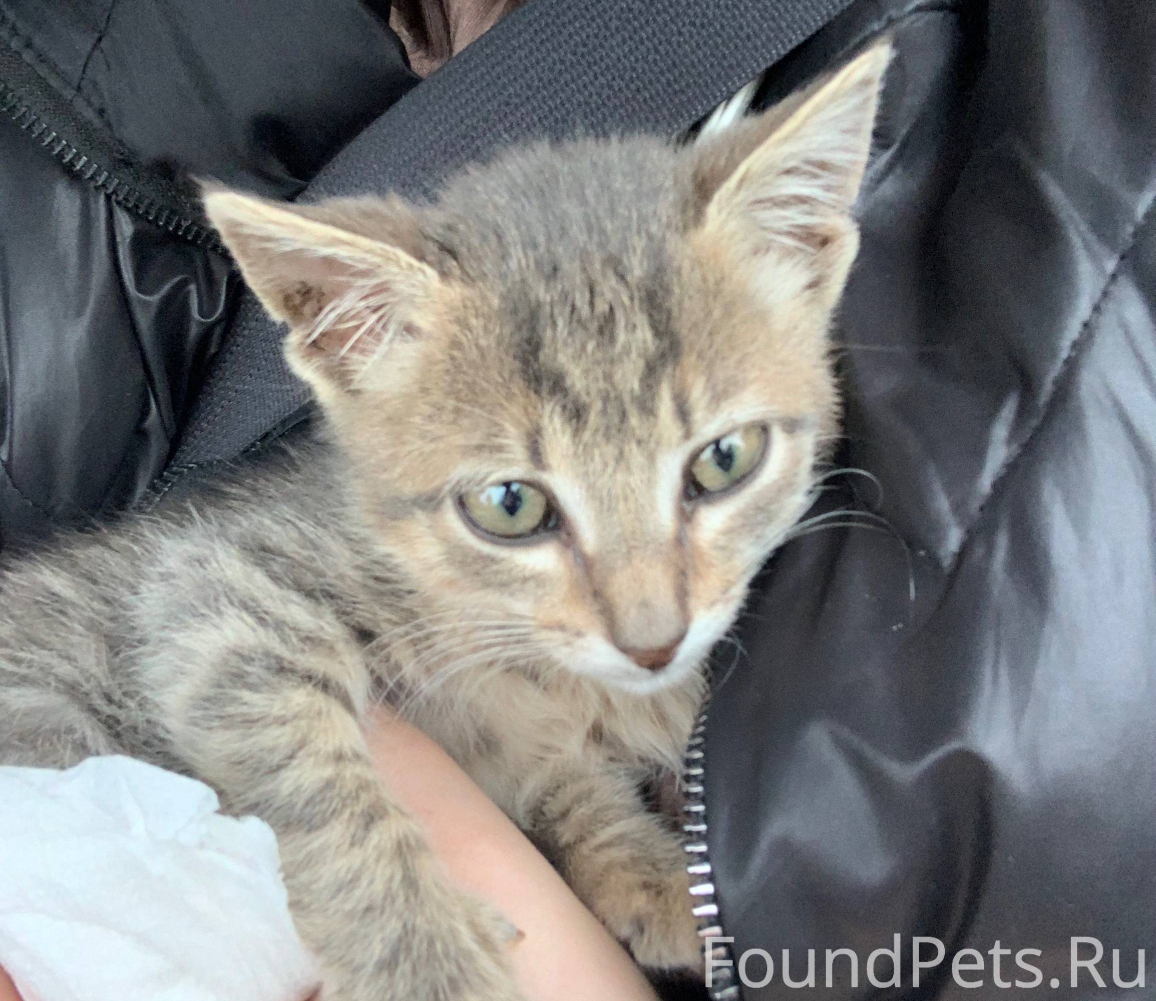 Здравствуйте. Просим помощи‼️С...