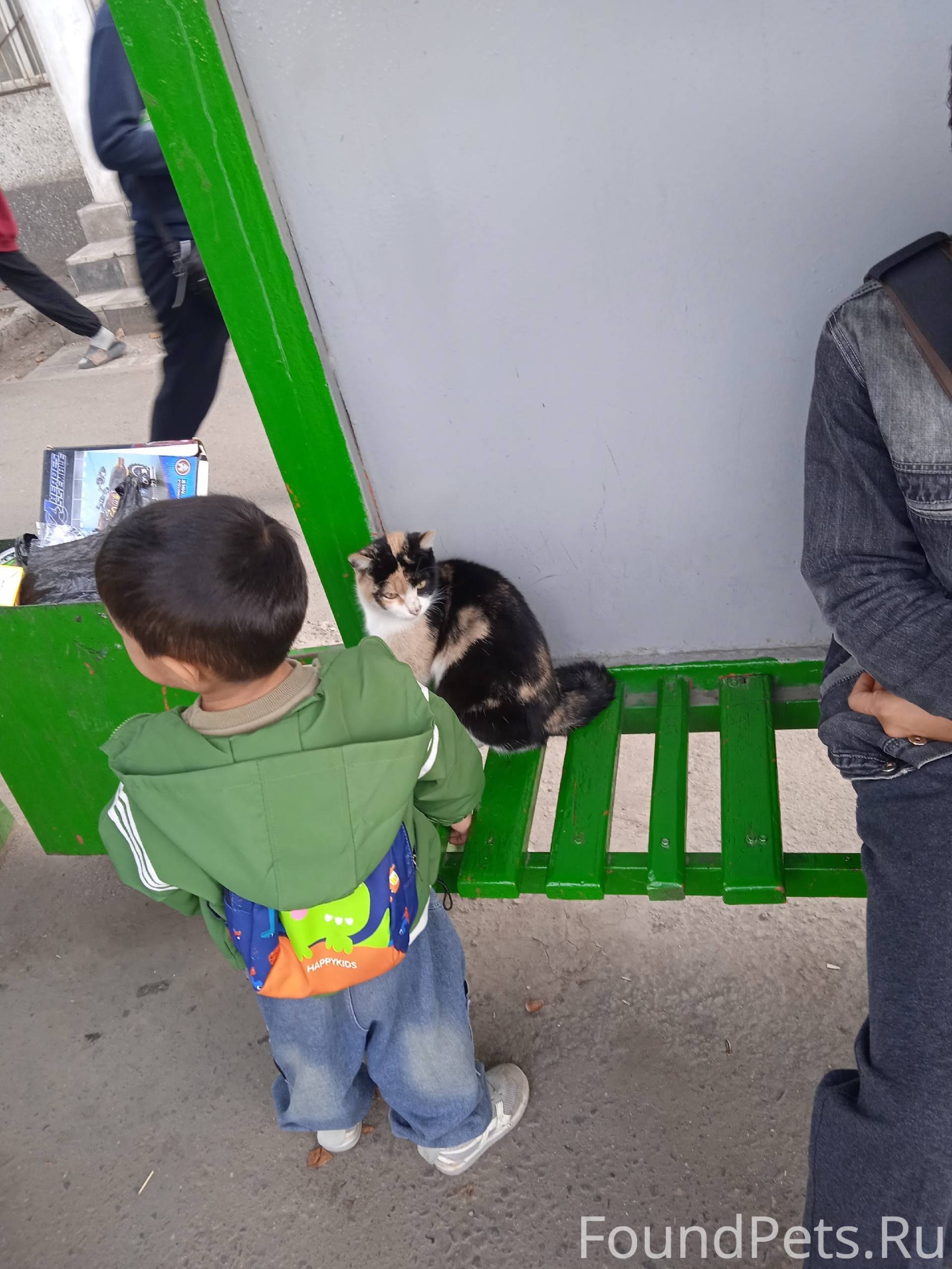 Так и сидит, вторую неделю. Жд...