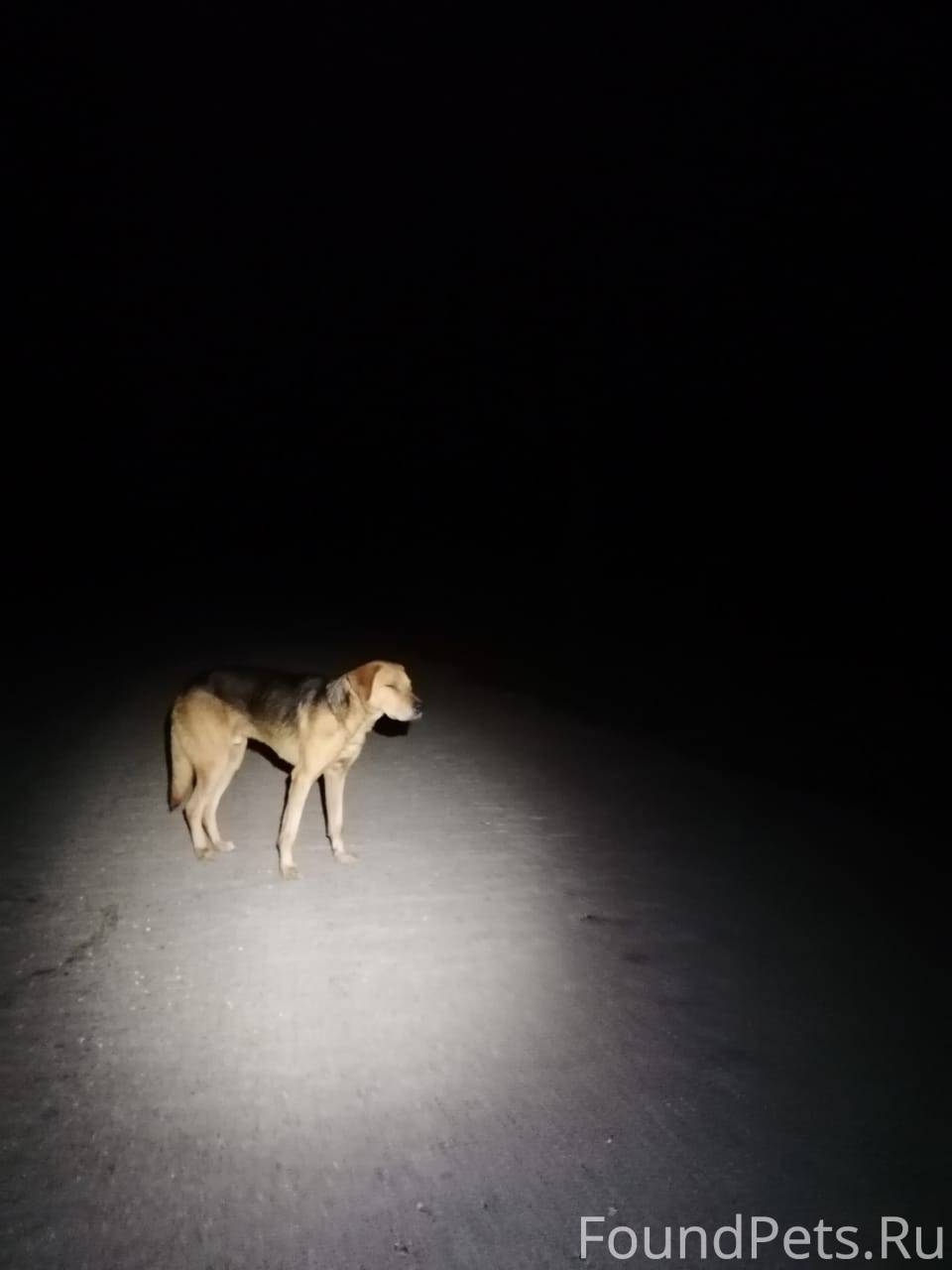 На трассе в сторону Мосеева у....