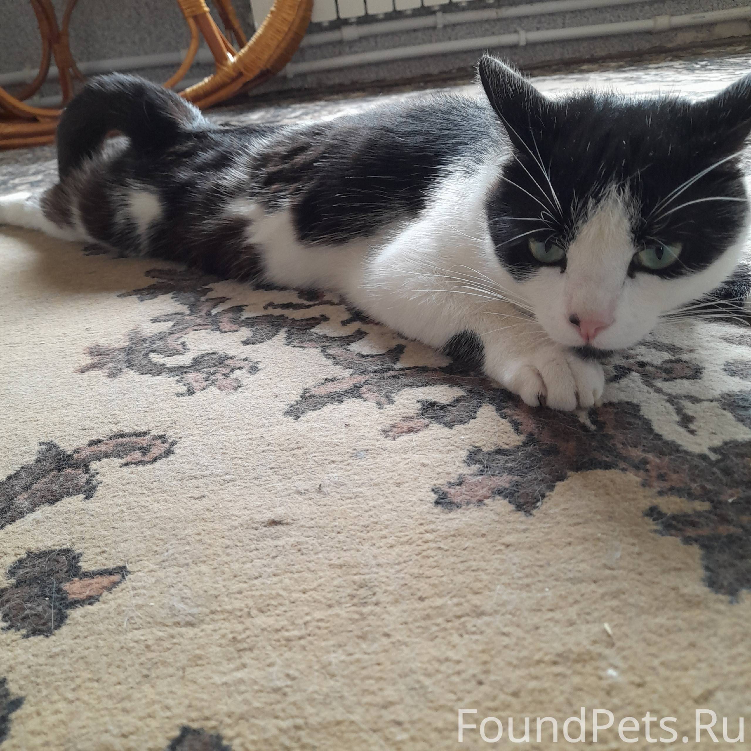 В надежде на помощь и содейств...