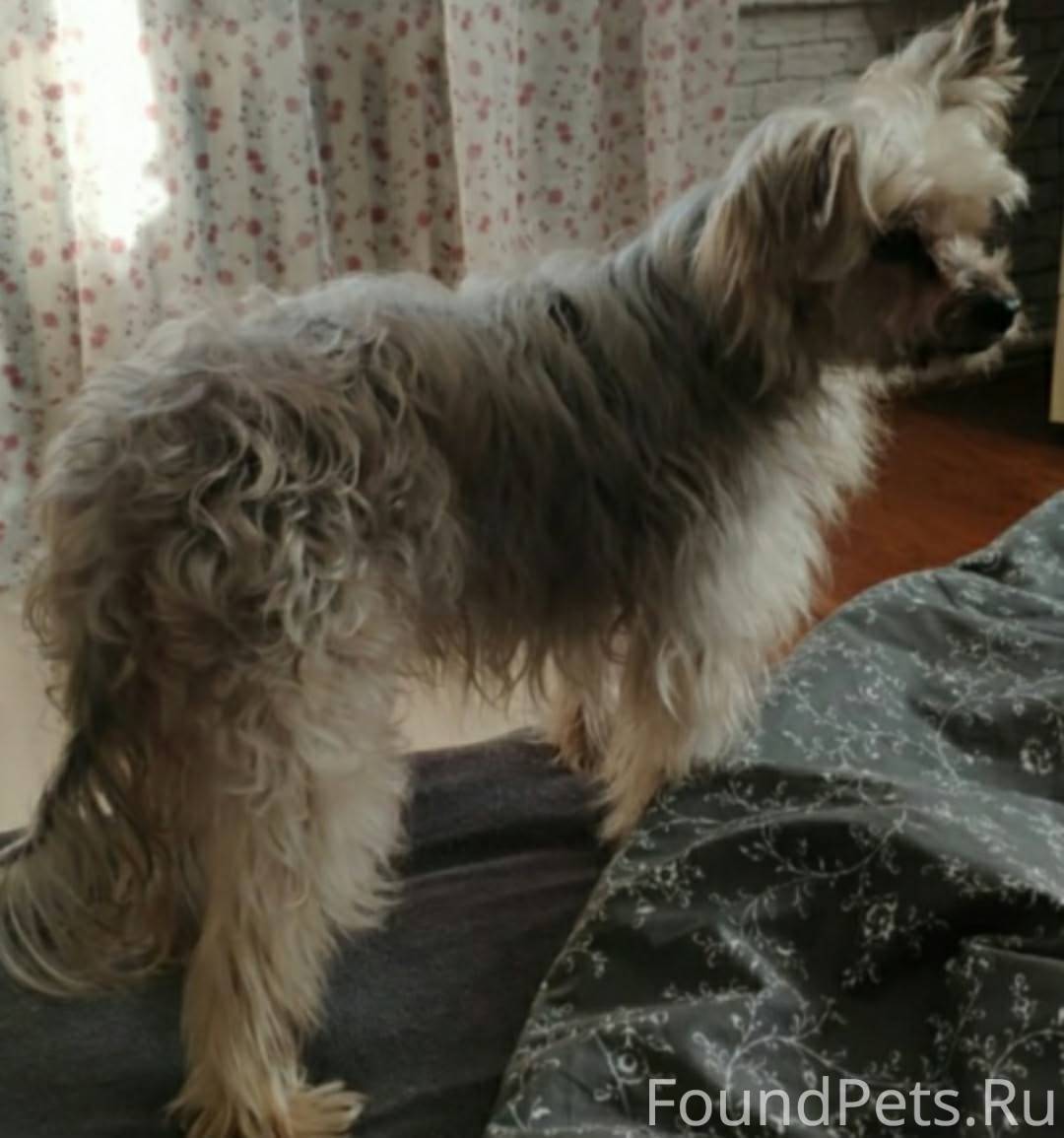 +7 969 465 81 86 ПРОШУ...