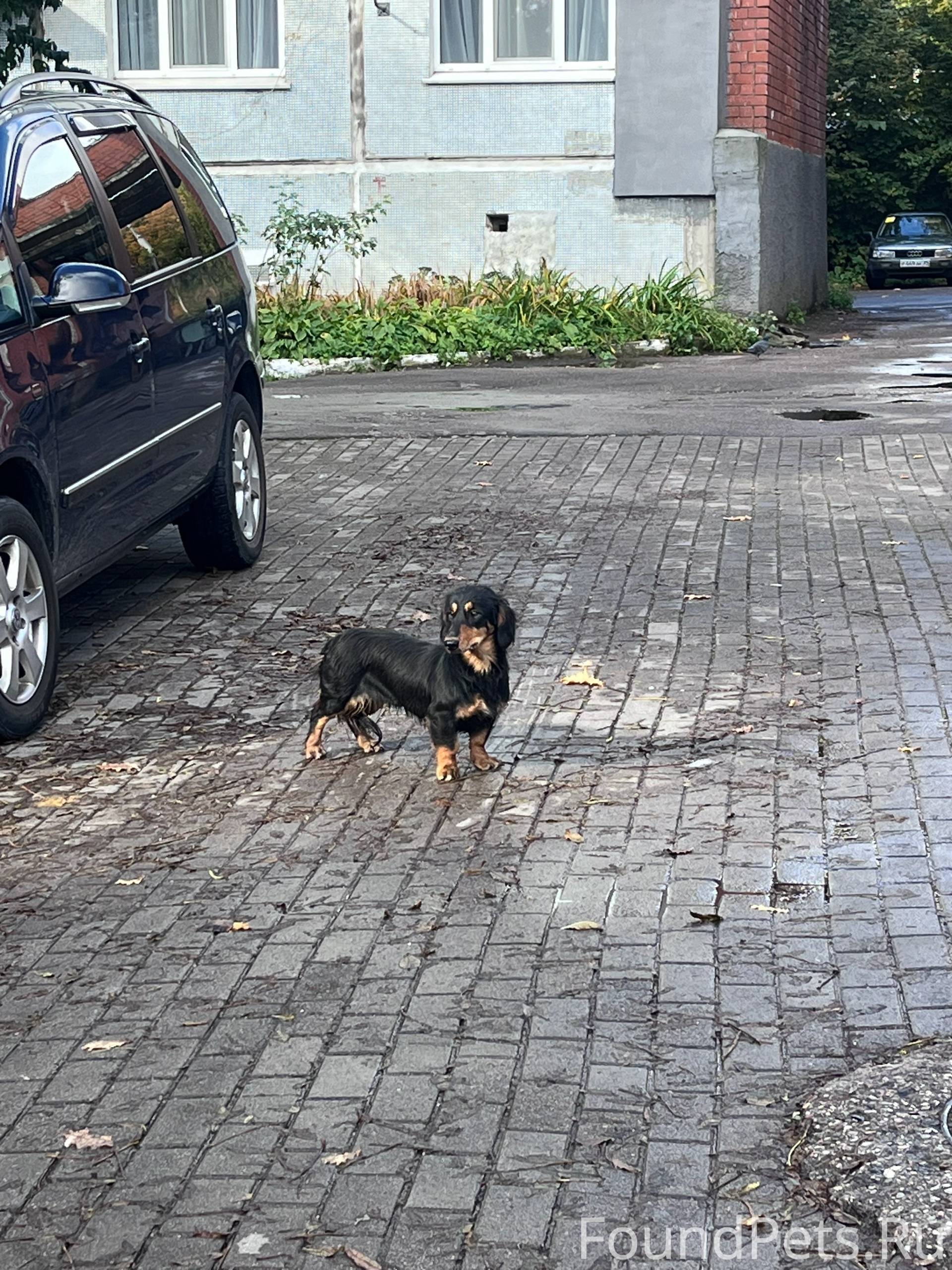 Добрый день! В районе детской ...