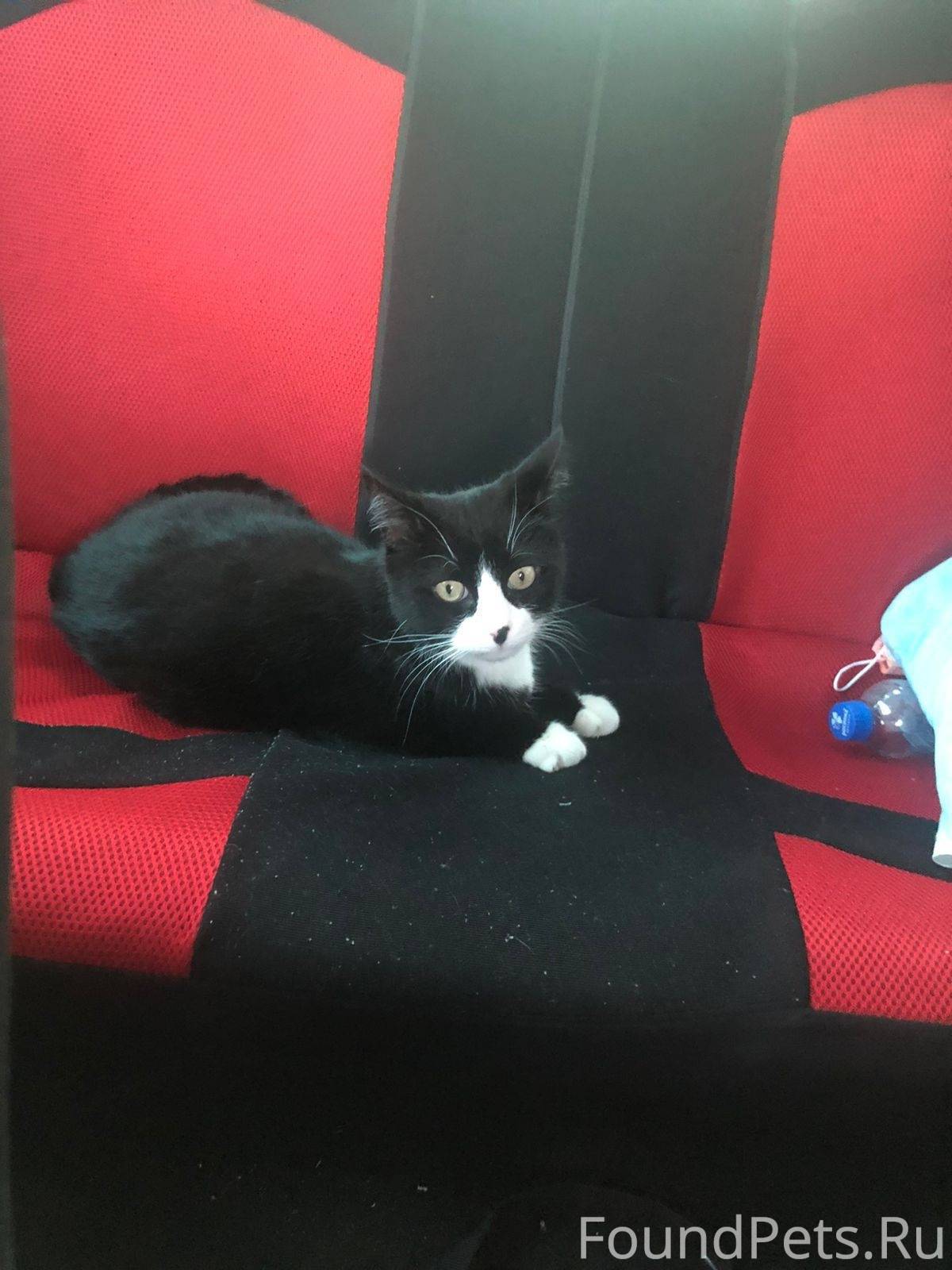 🆘 Помогите найти Маркиза Потер...