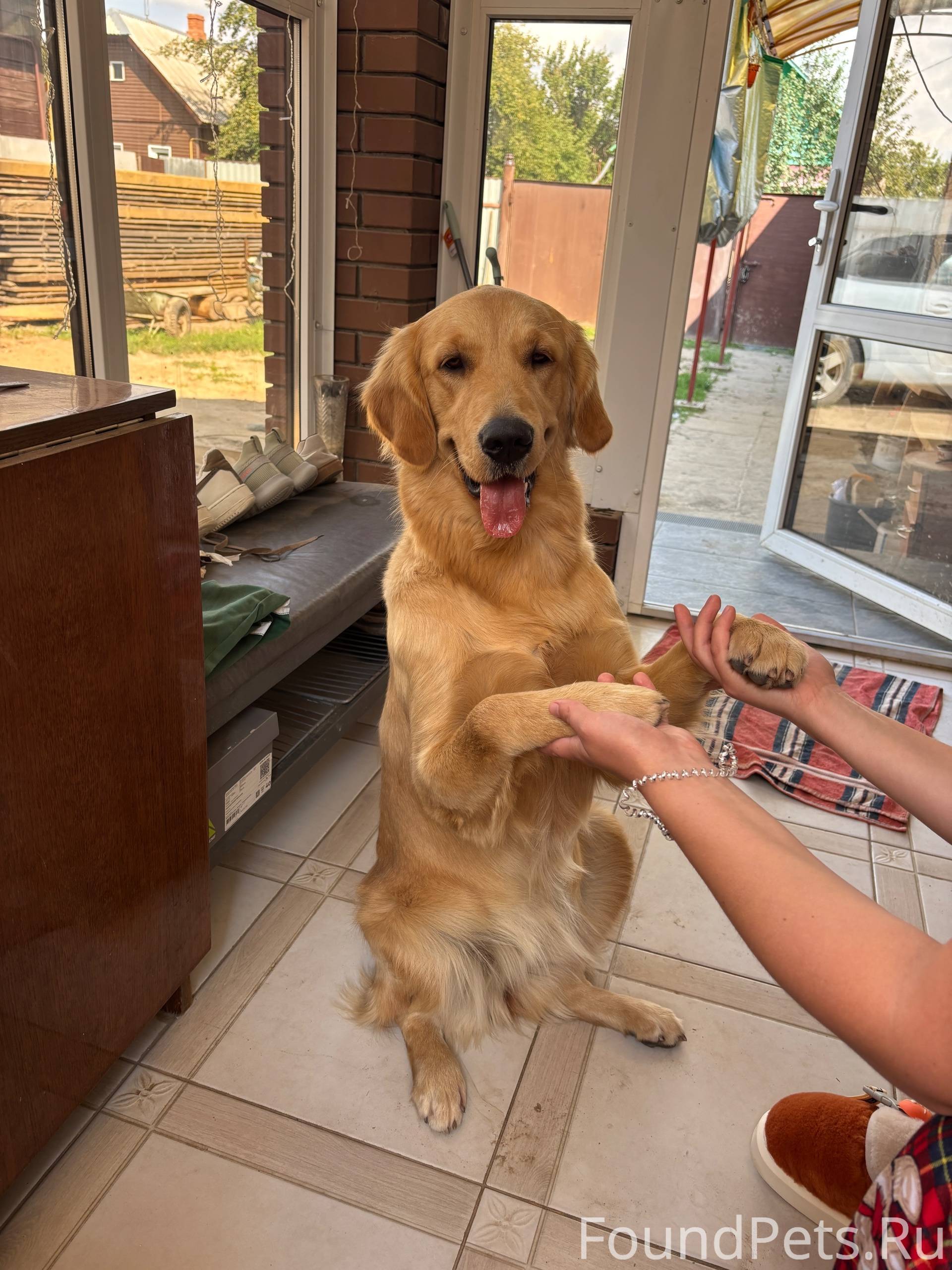 Потерялась собака. В районе ЖД...