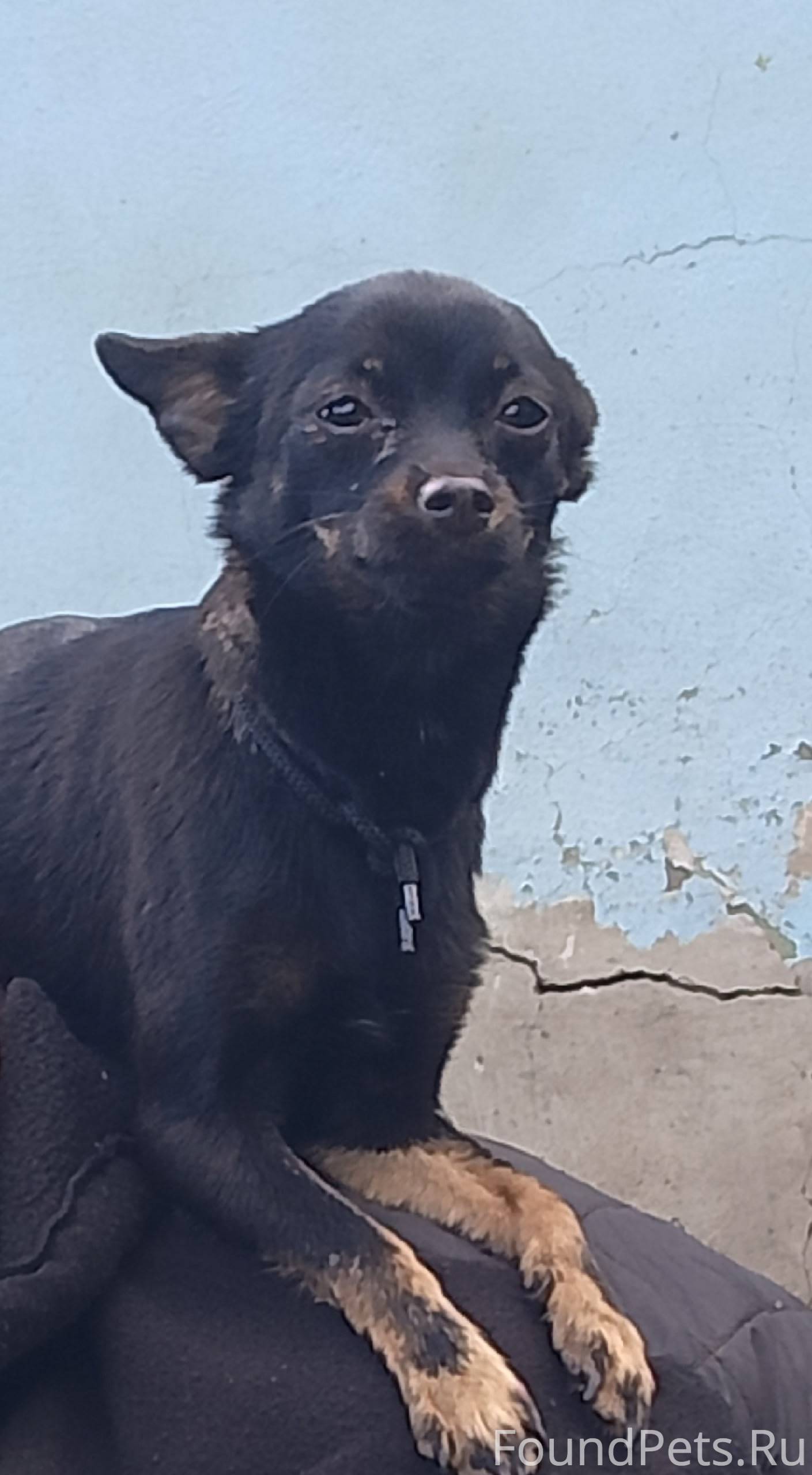 Закамышанская больница .Убежал...