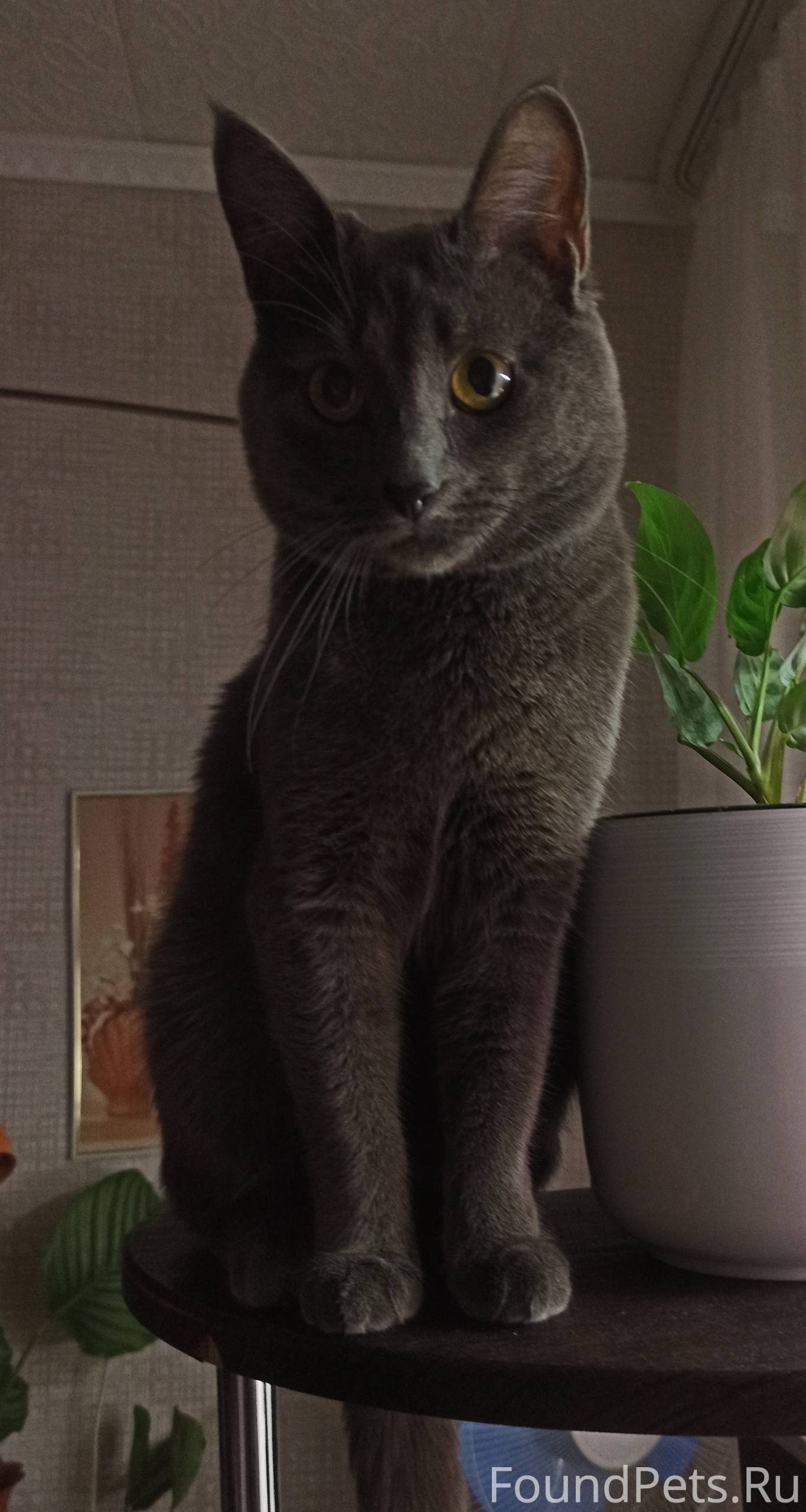 Утром 10.10.2025, примерно в.....