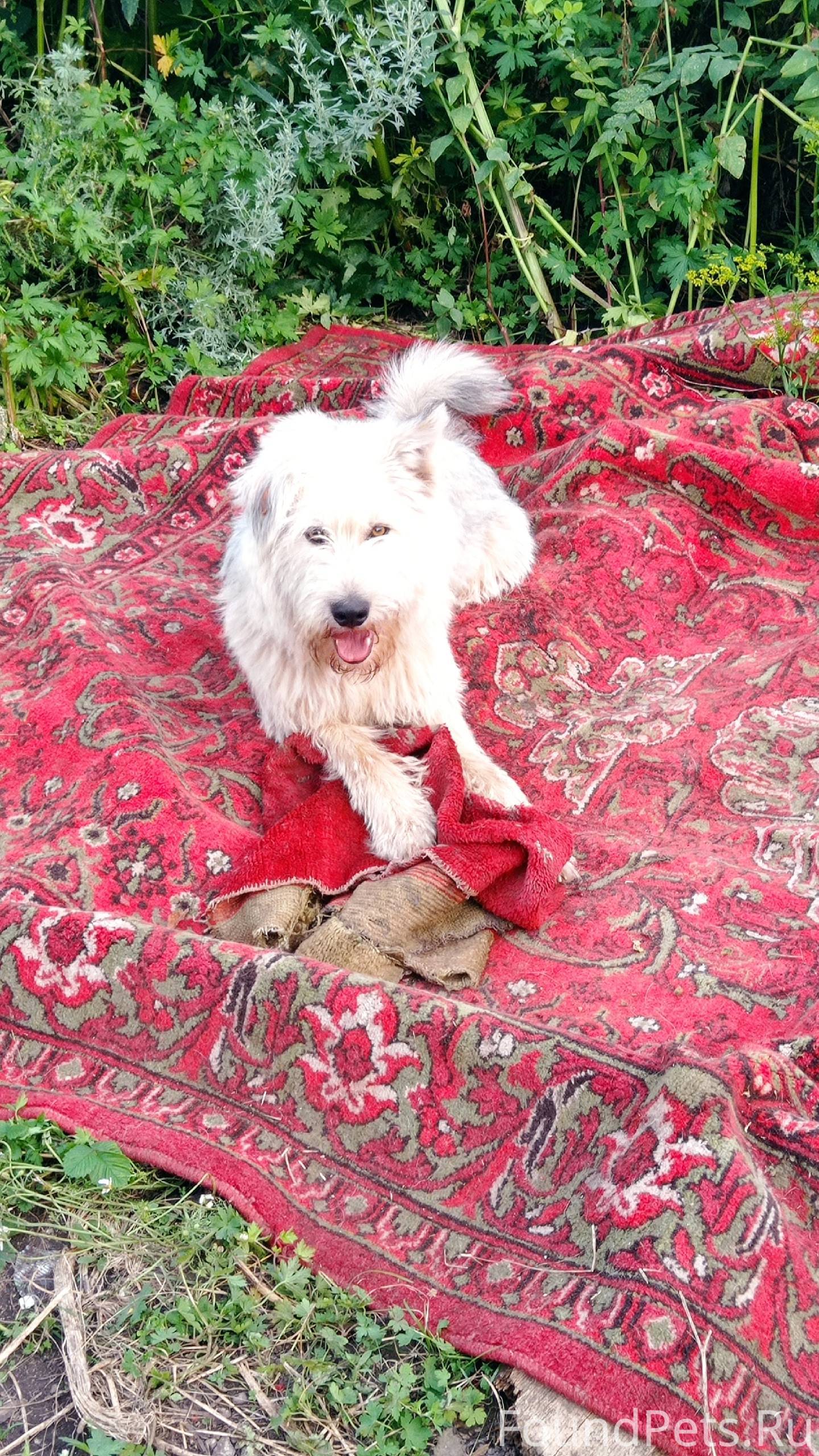 🆘🆘🆘🆘🆘🆘🆘🆘🆘🆘🆘🆘🆘📢📢 Здравствуйте в...