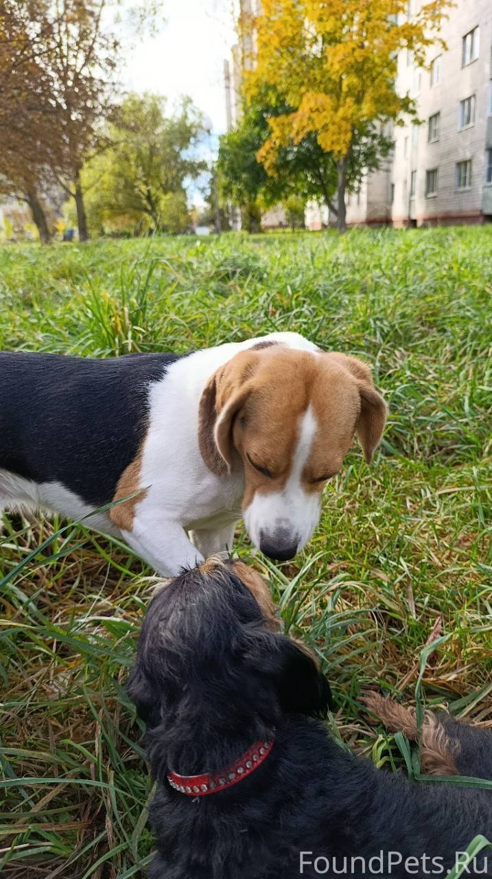 КТО ПОТЕРЯЛ?! Сельмаш. Был зам...