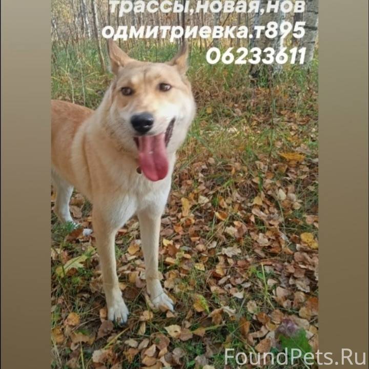 Добрый день! Объявление не по ...