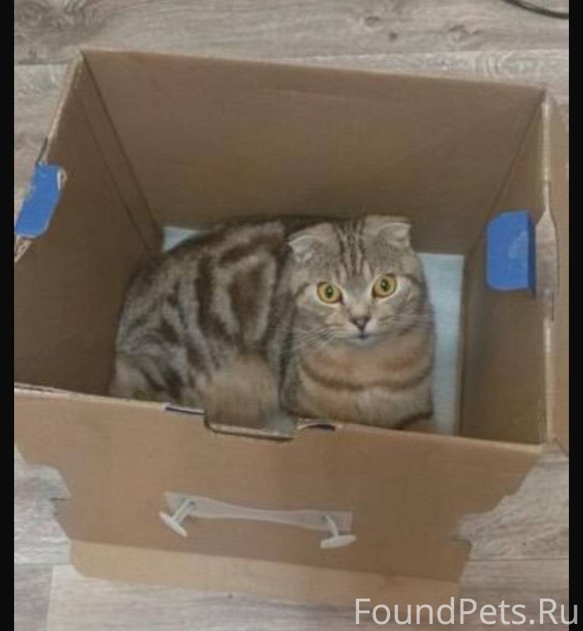 Помогаем информационно!! Пропа...