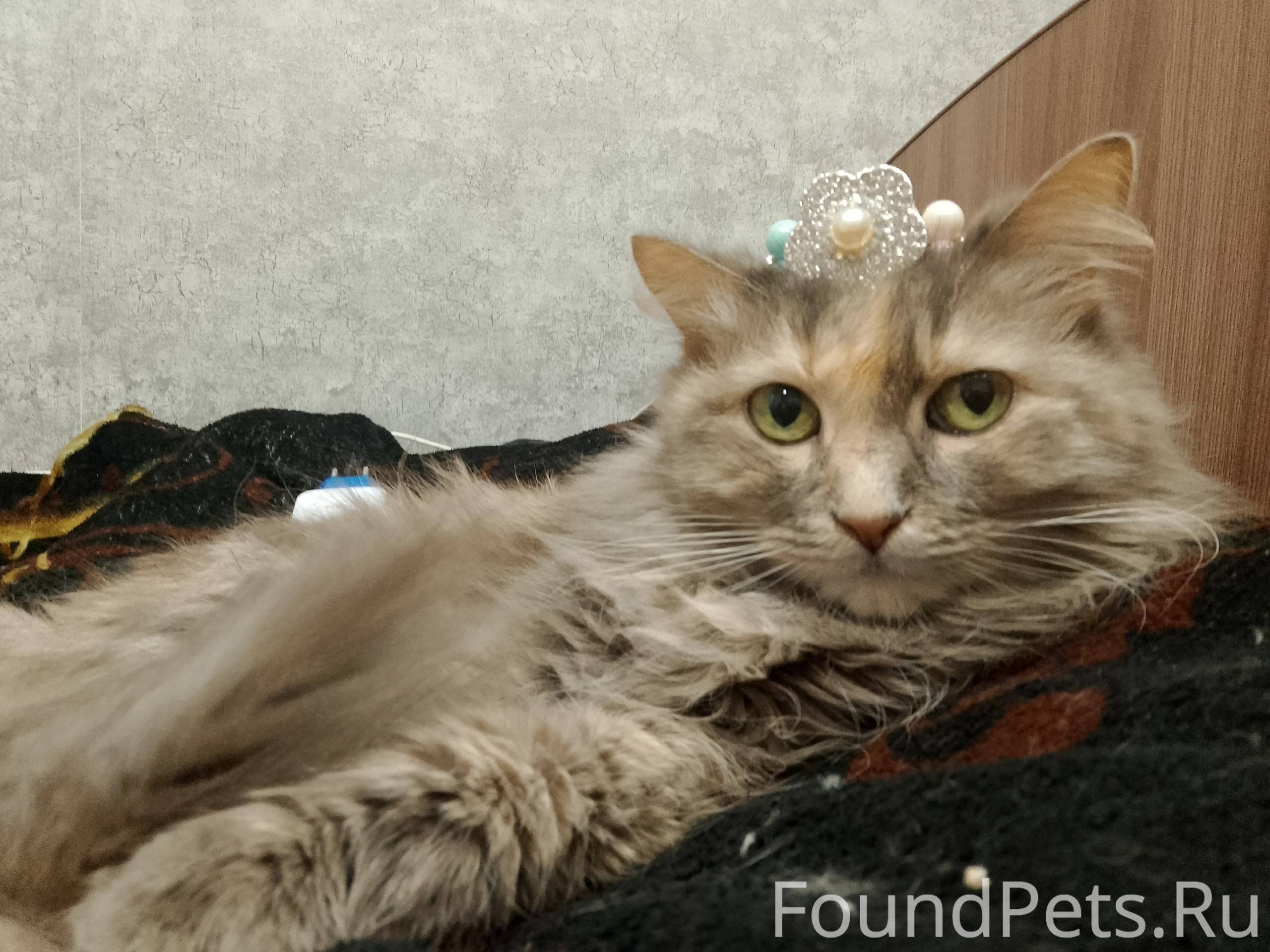 Жильцы мкр. Радужный, потеряла...