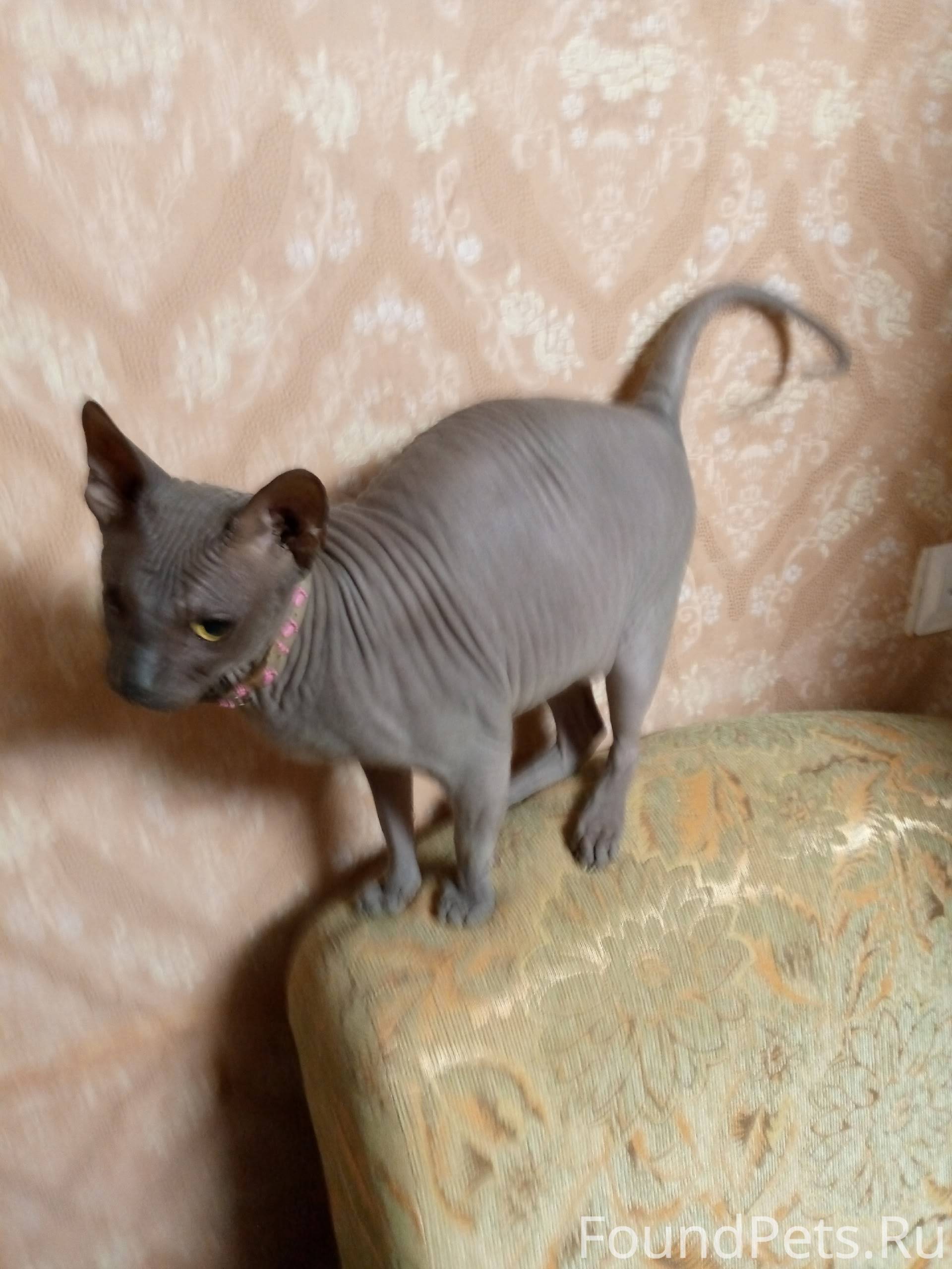 В понедельник 13 октября приме...