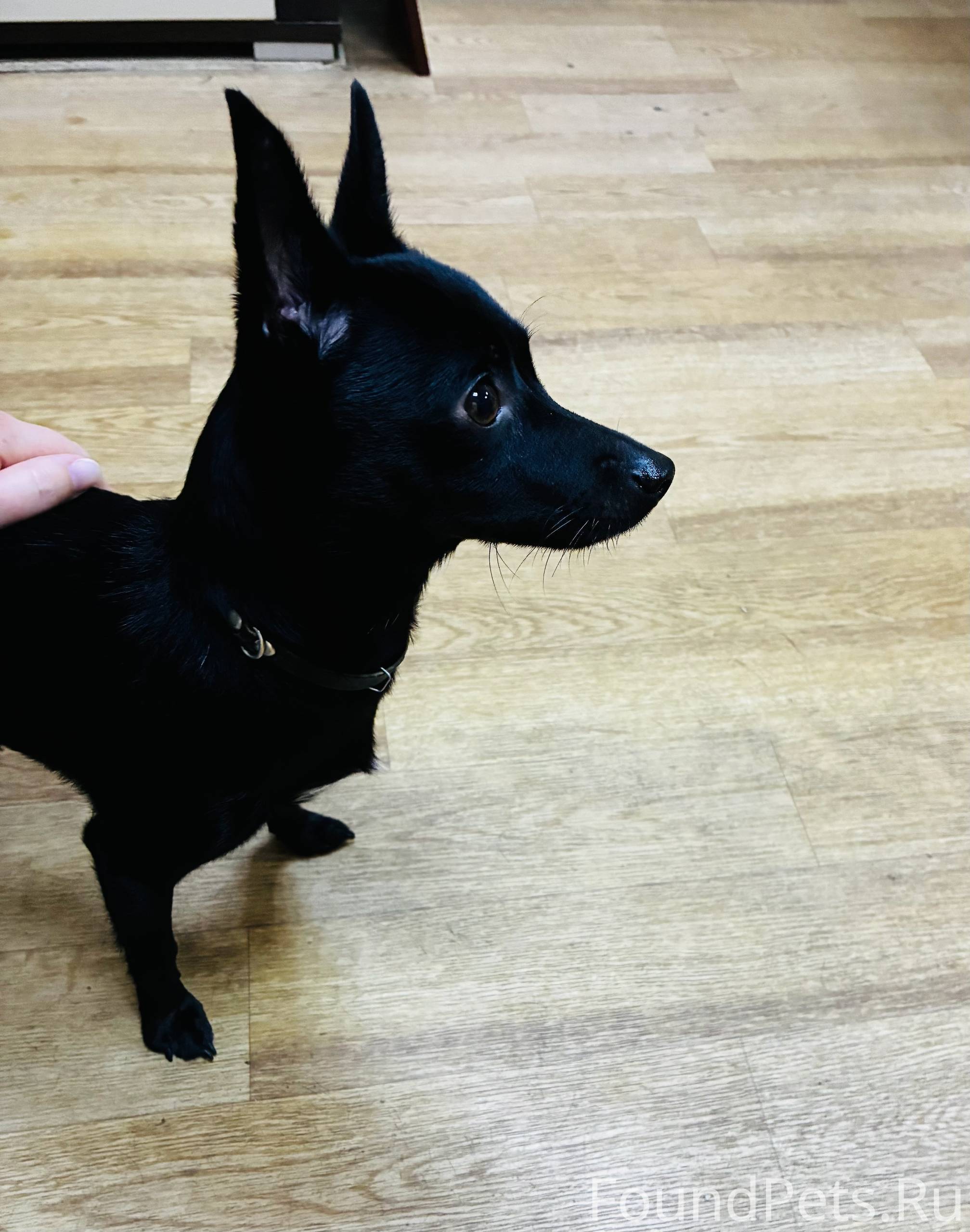 Срочно! Новочебоксарск. Вчера ...