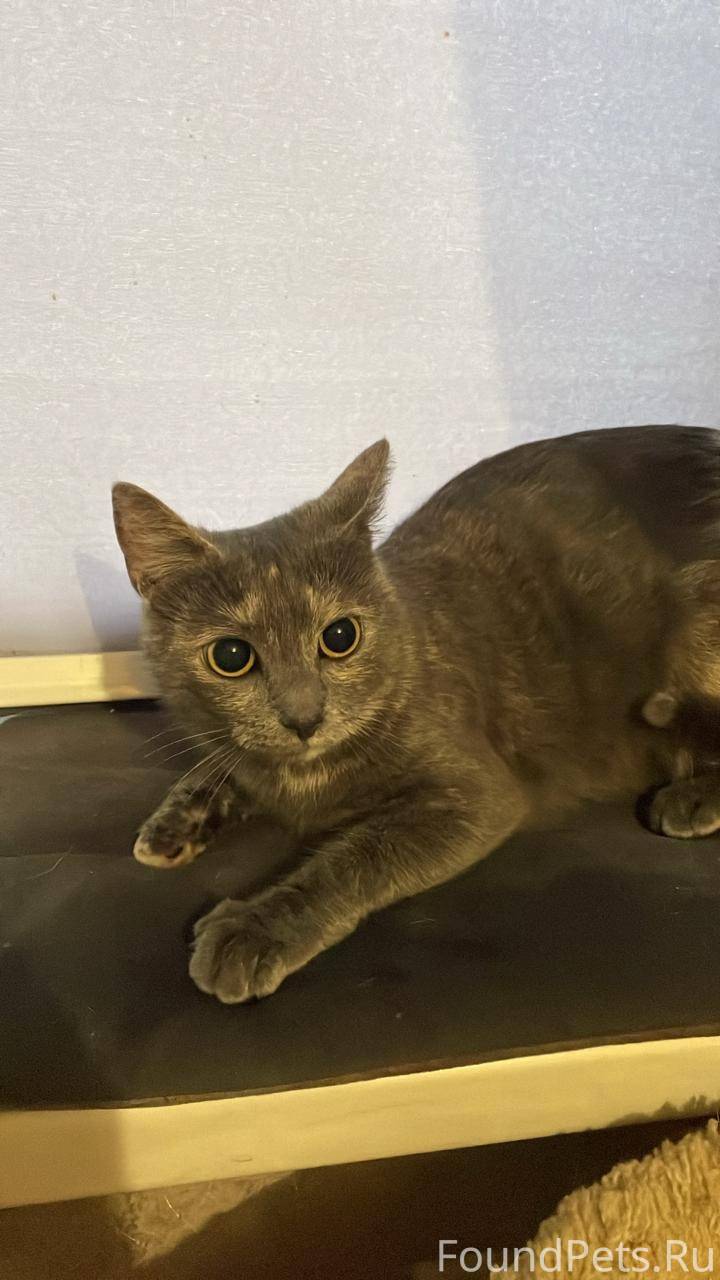 Владивосток. @dobro_dom_vl . Н...