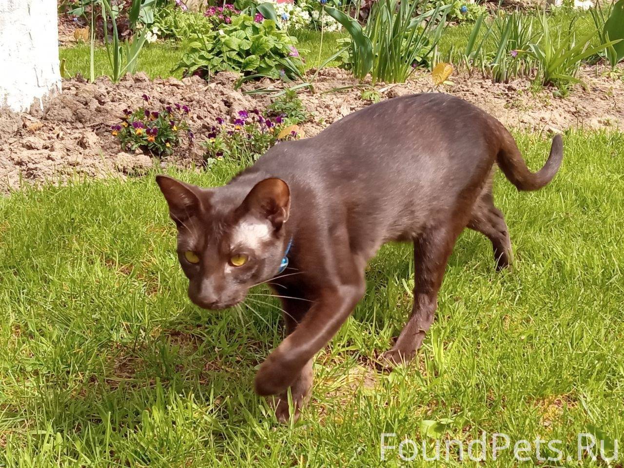 Не перестаем искать, верить, ж...