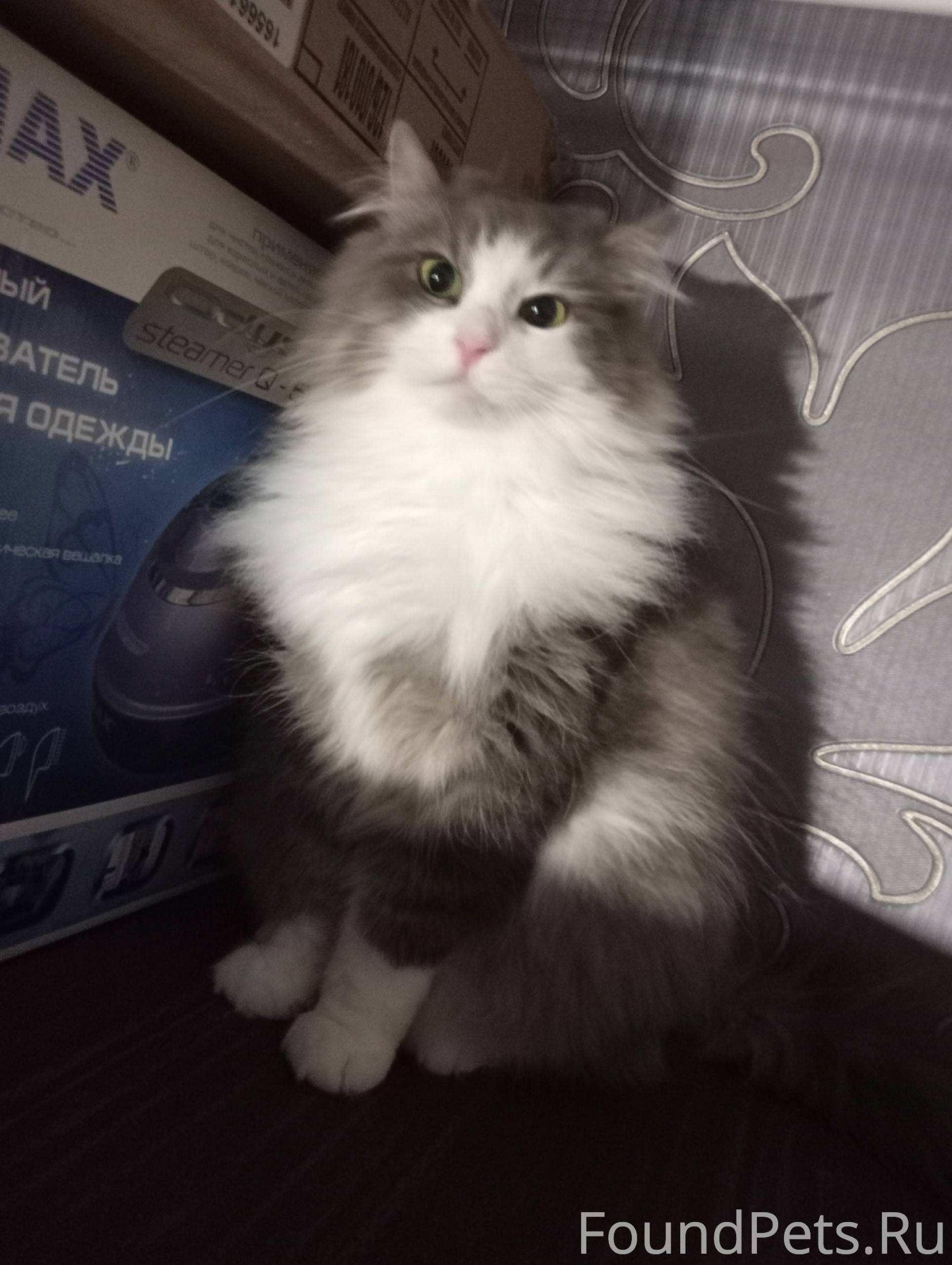 СРОЧНО, ПОЖАЛУЙСТА ПОМОГИТЕ НА...