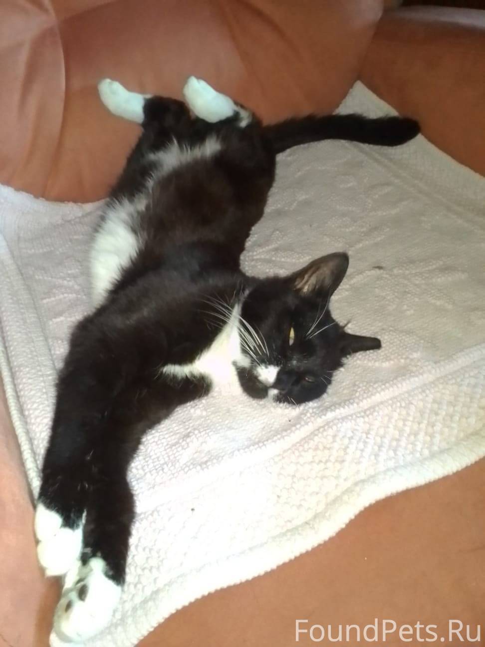 ❗Уважаемые защитники животных,...