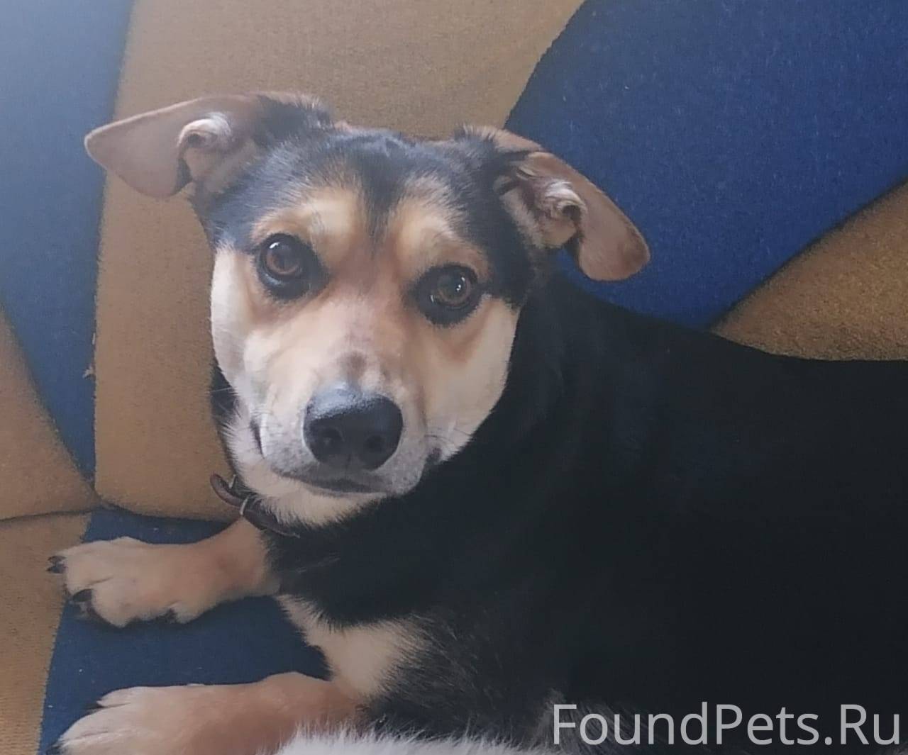 Помогли пожалуйста найти! Поте...