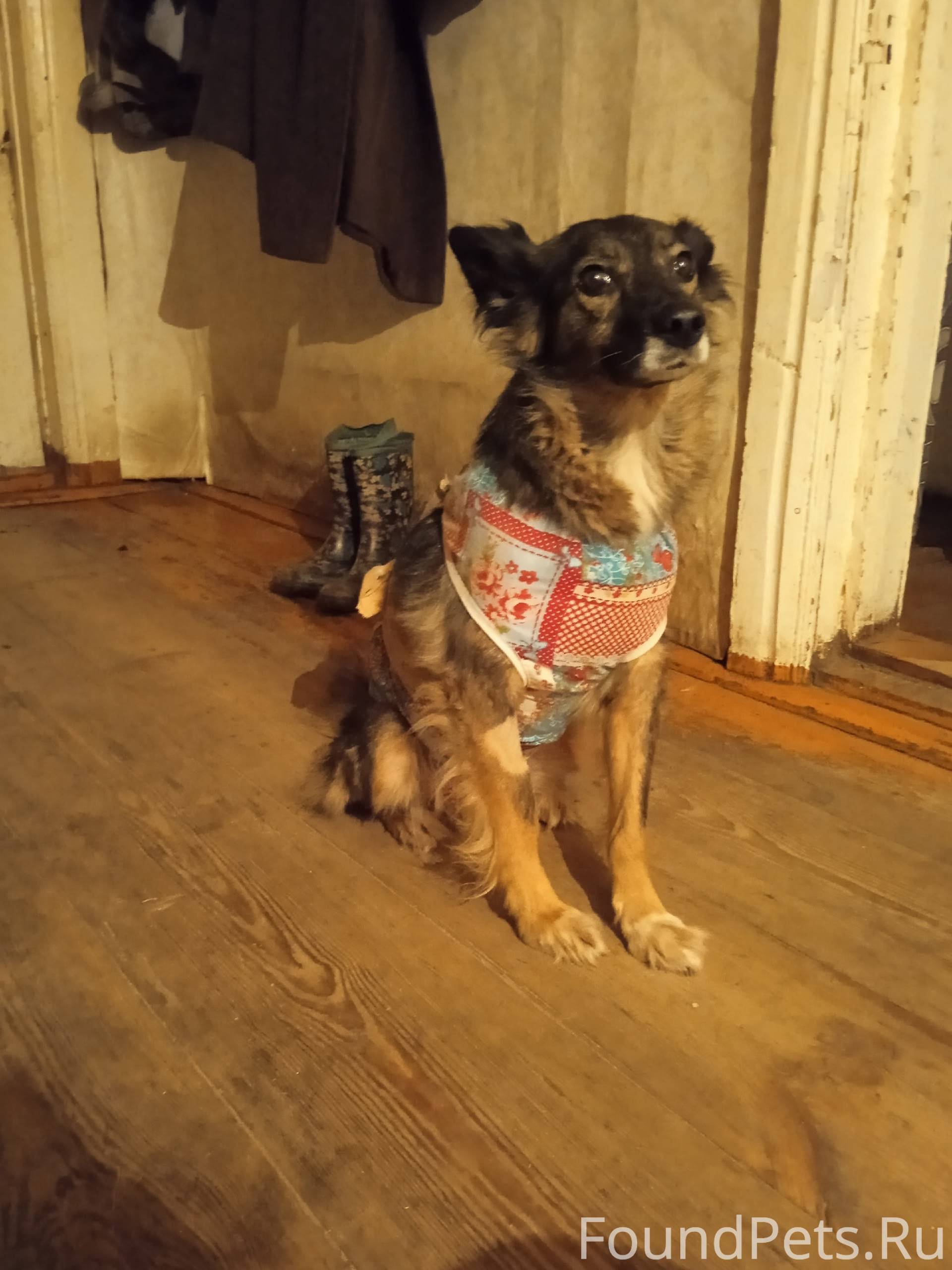 ПОМОГАЕМ ИНФОРМАЦИОННО Пропала...