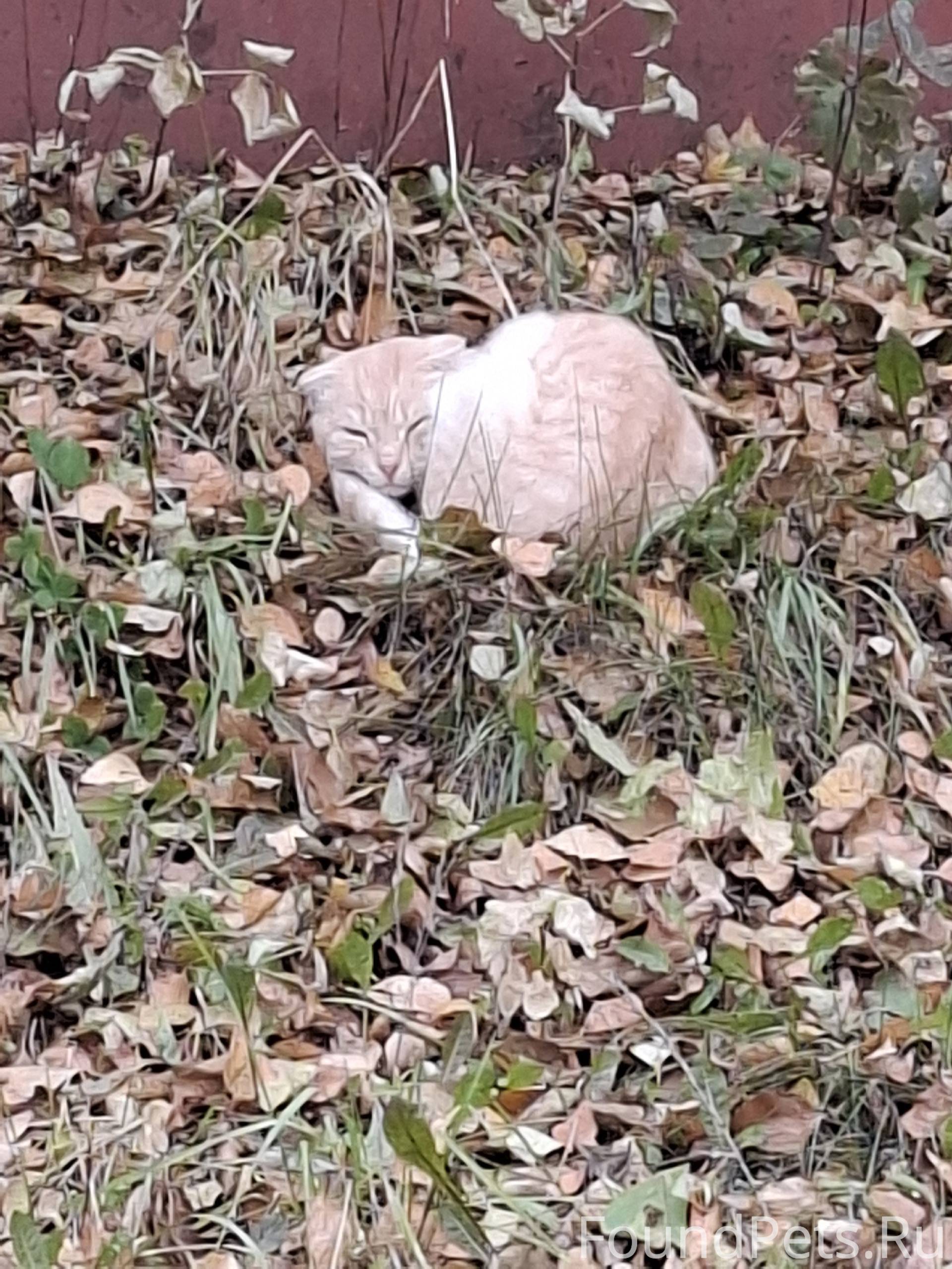 Во дворе Водолея, третий день ...