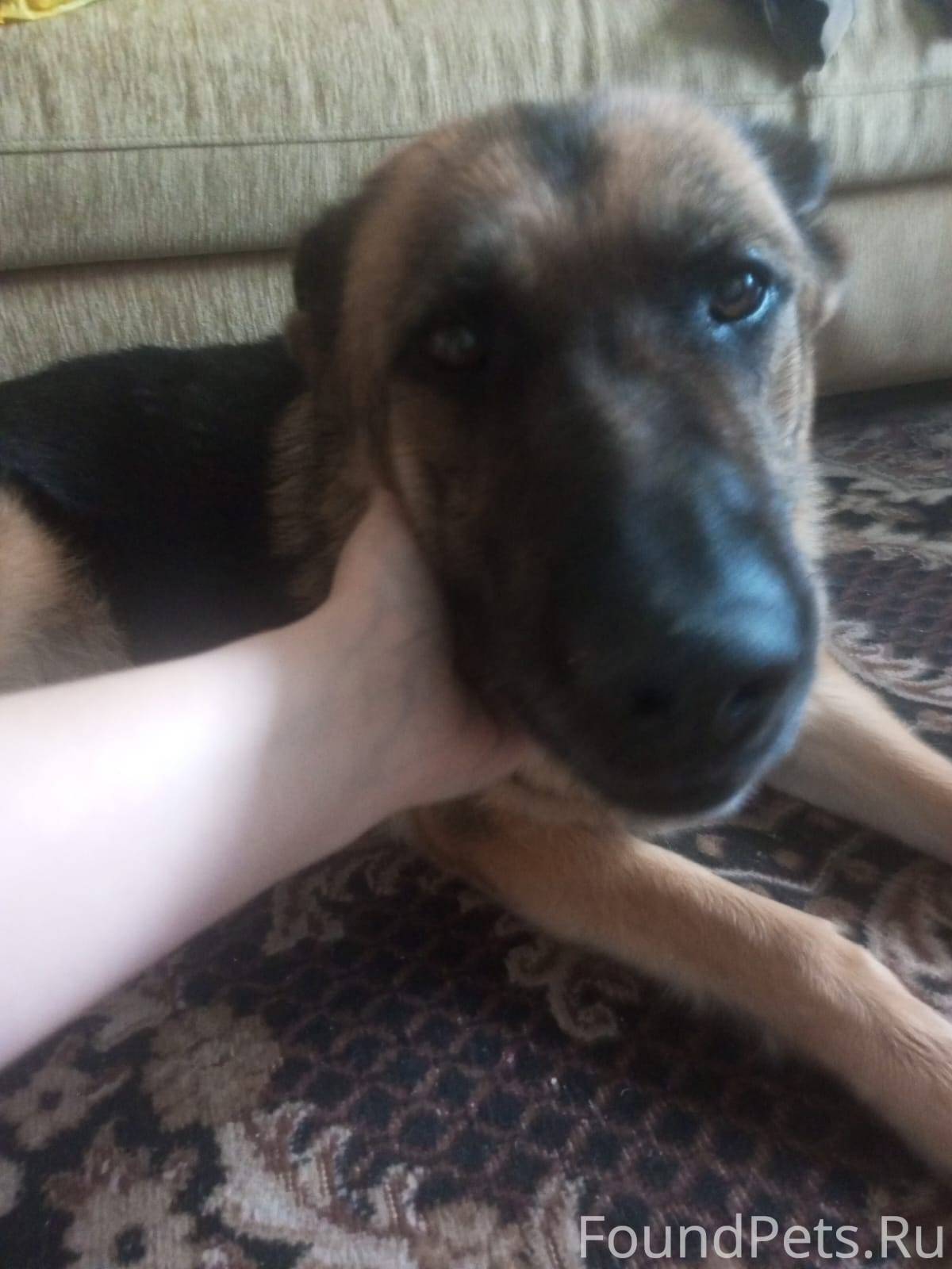 На трассе между Елабугой и Наб...