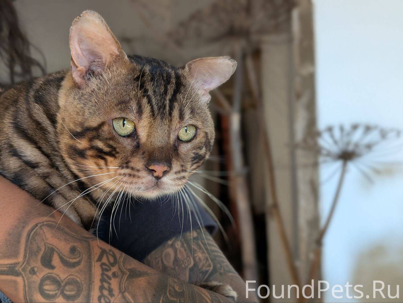 🚨Всем здравствуйте, пройти мим...