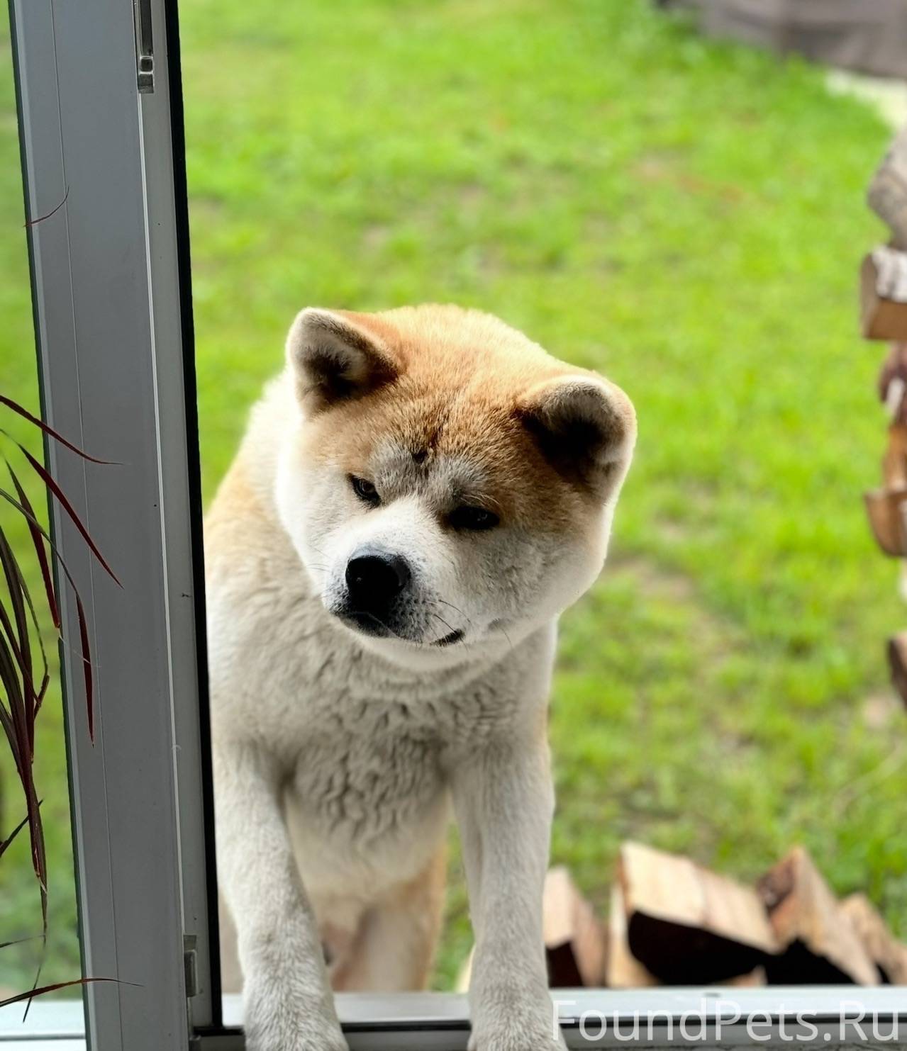 Сегодня 19 октября,в лесу поте...