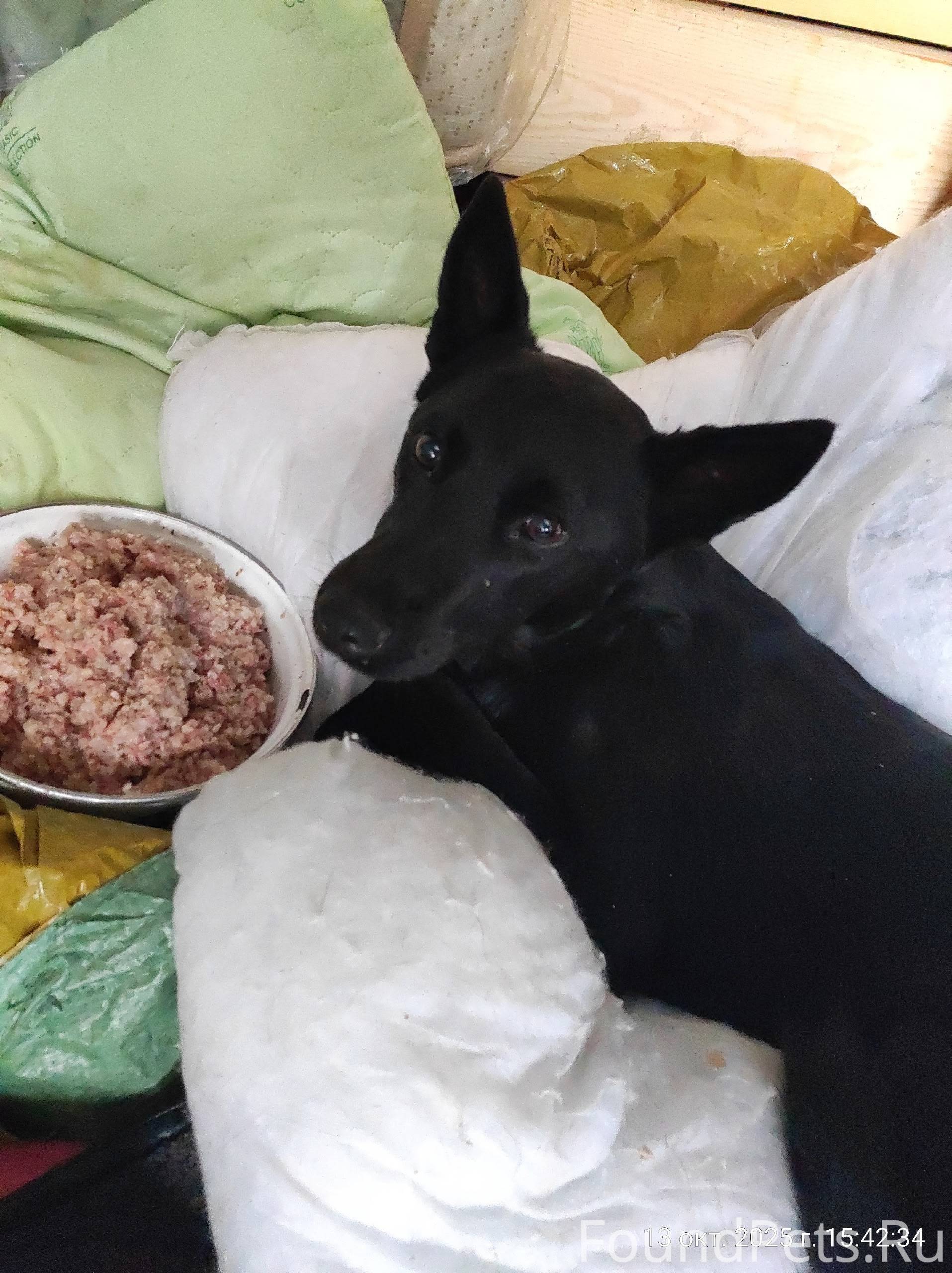 У нас неприятное происшествие,...