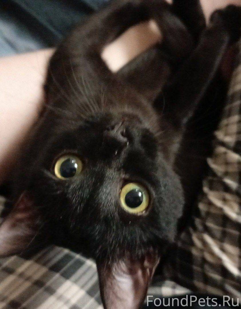 Вчера 22.10 ближе к вечеру...