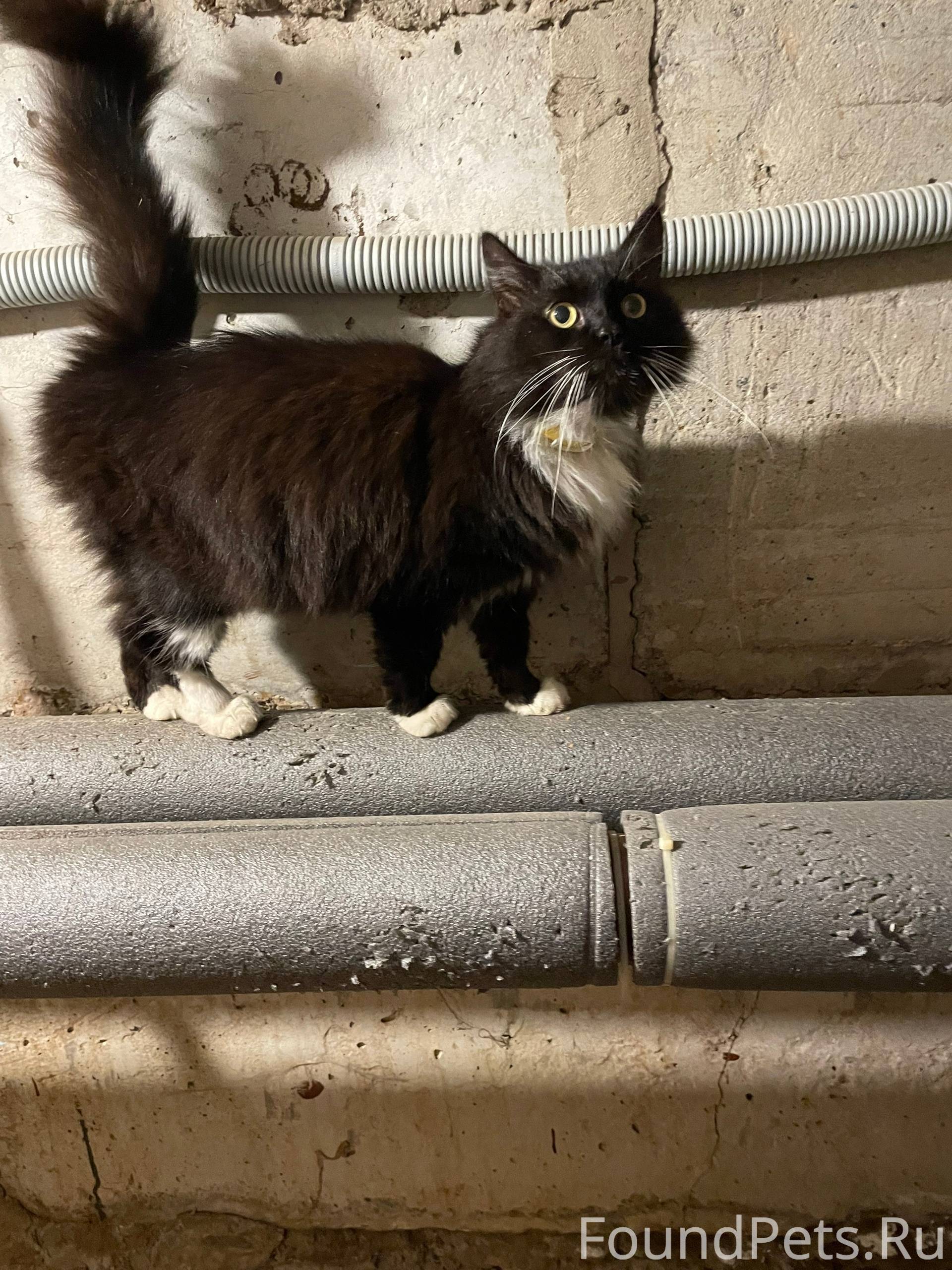 Здравствуйте. По ул.Афанасьева...