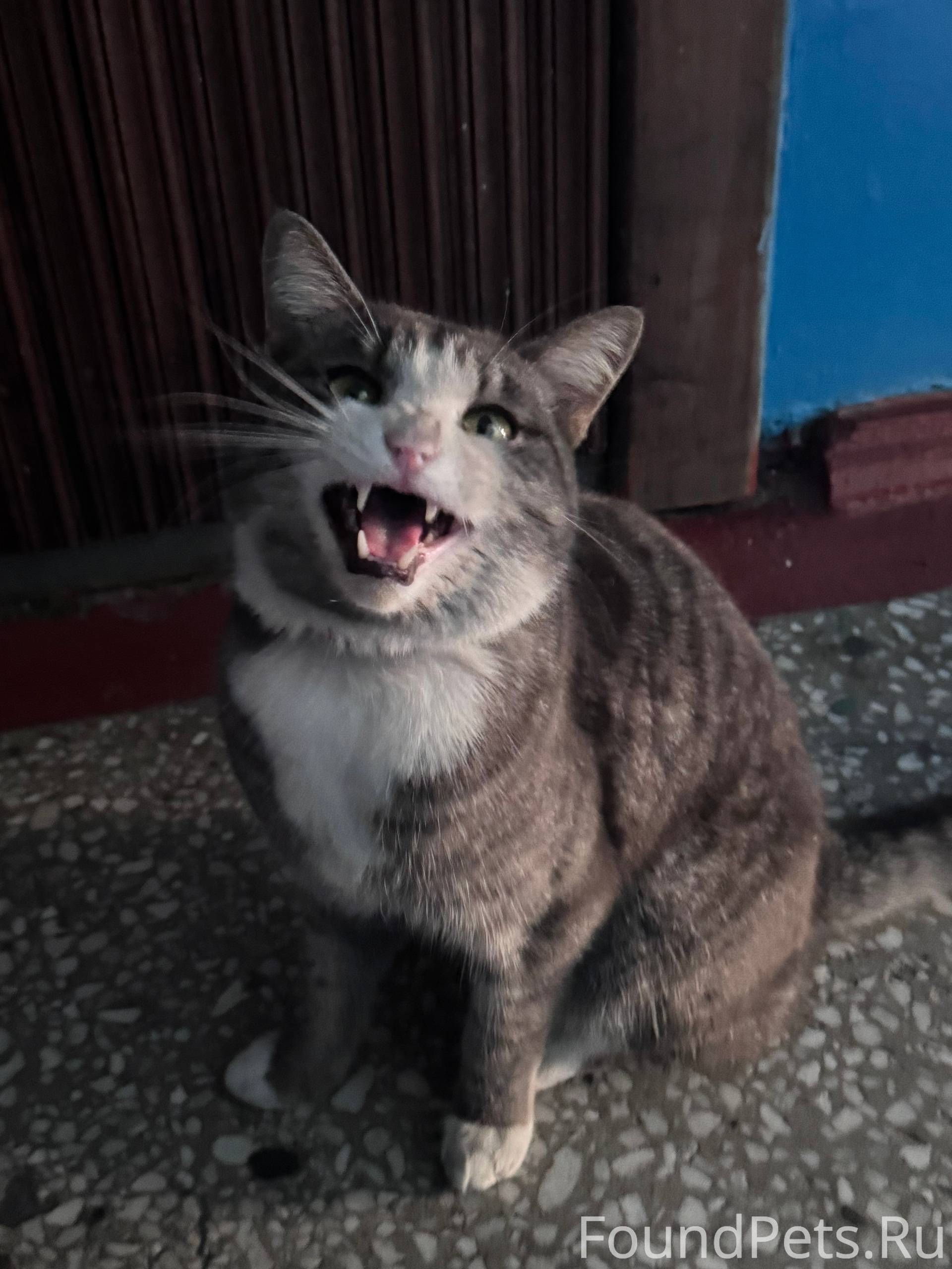 Район треста( Черногорск) сиди...