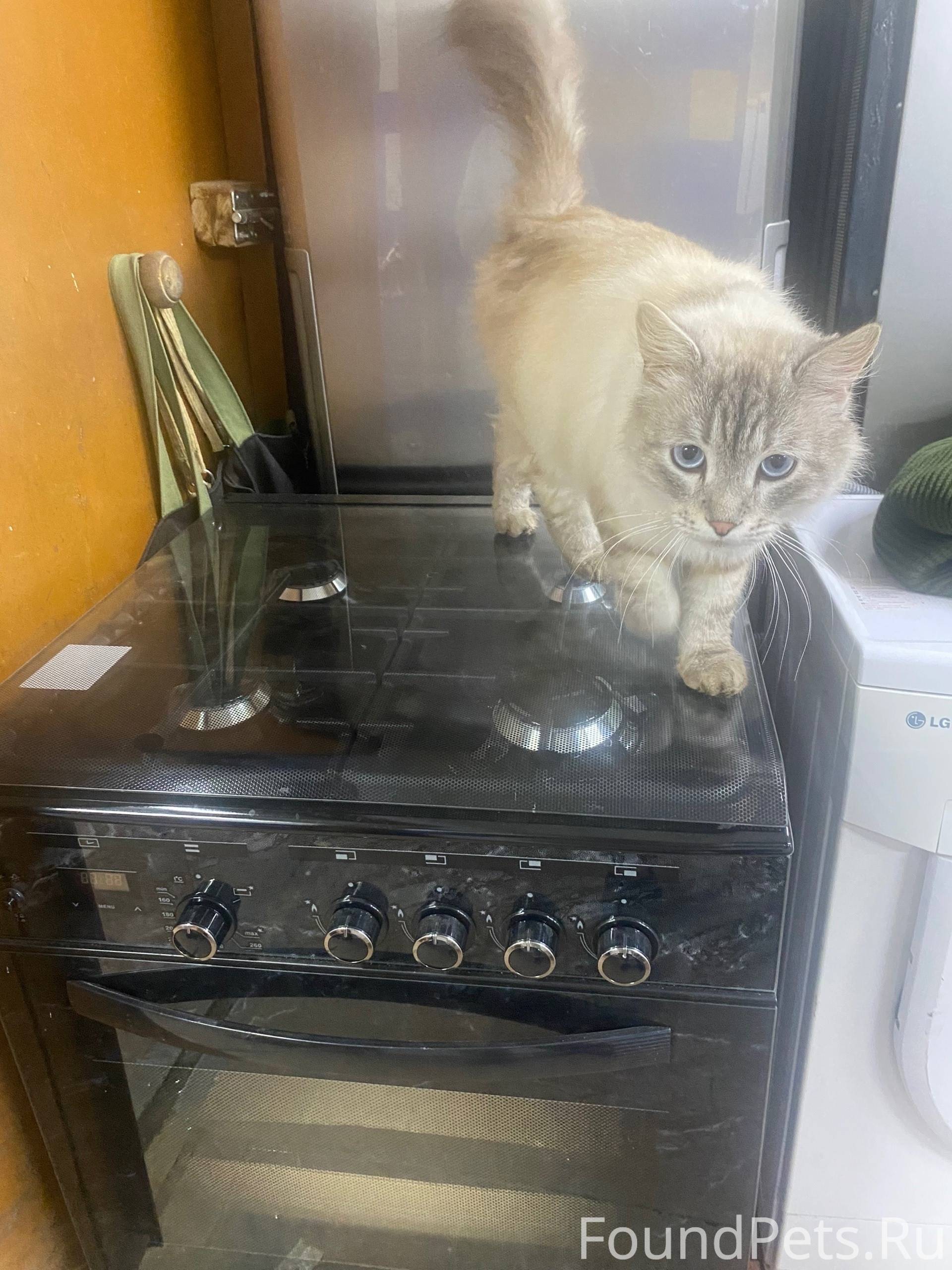 Две недели на кузнечной 130 бр...