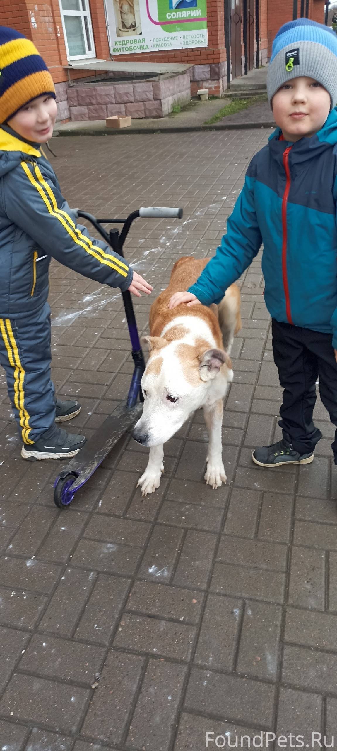 Гатчина и ЛО. Доброго дня! При...