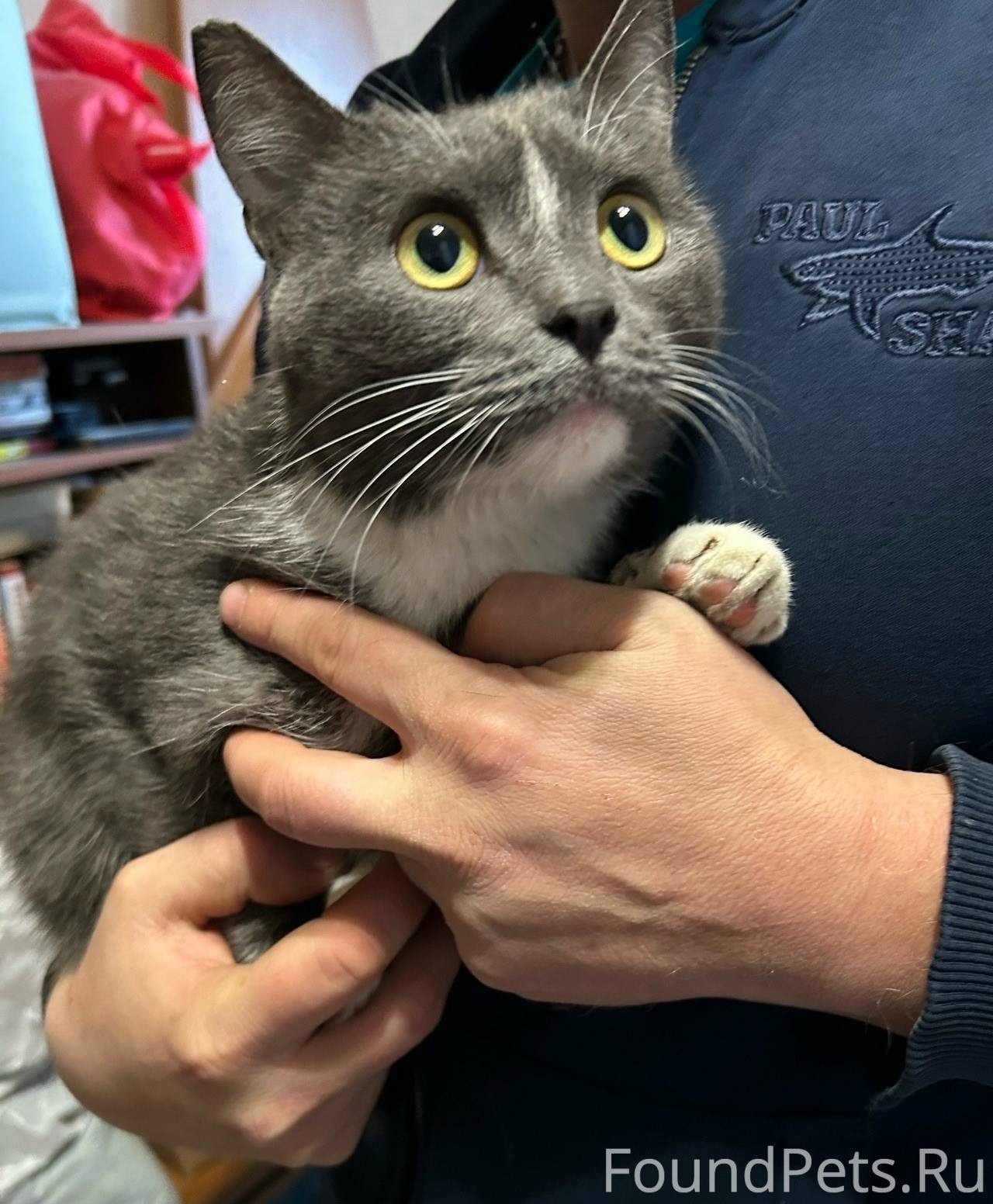 Блять короз