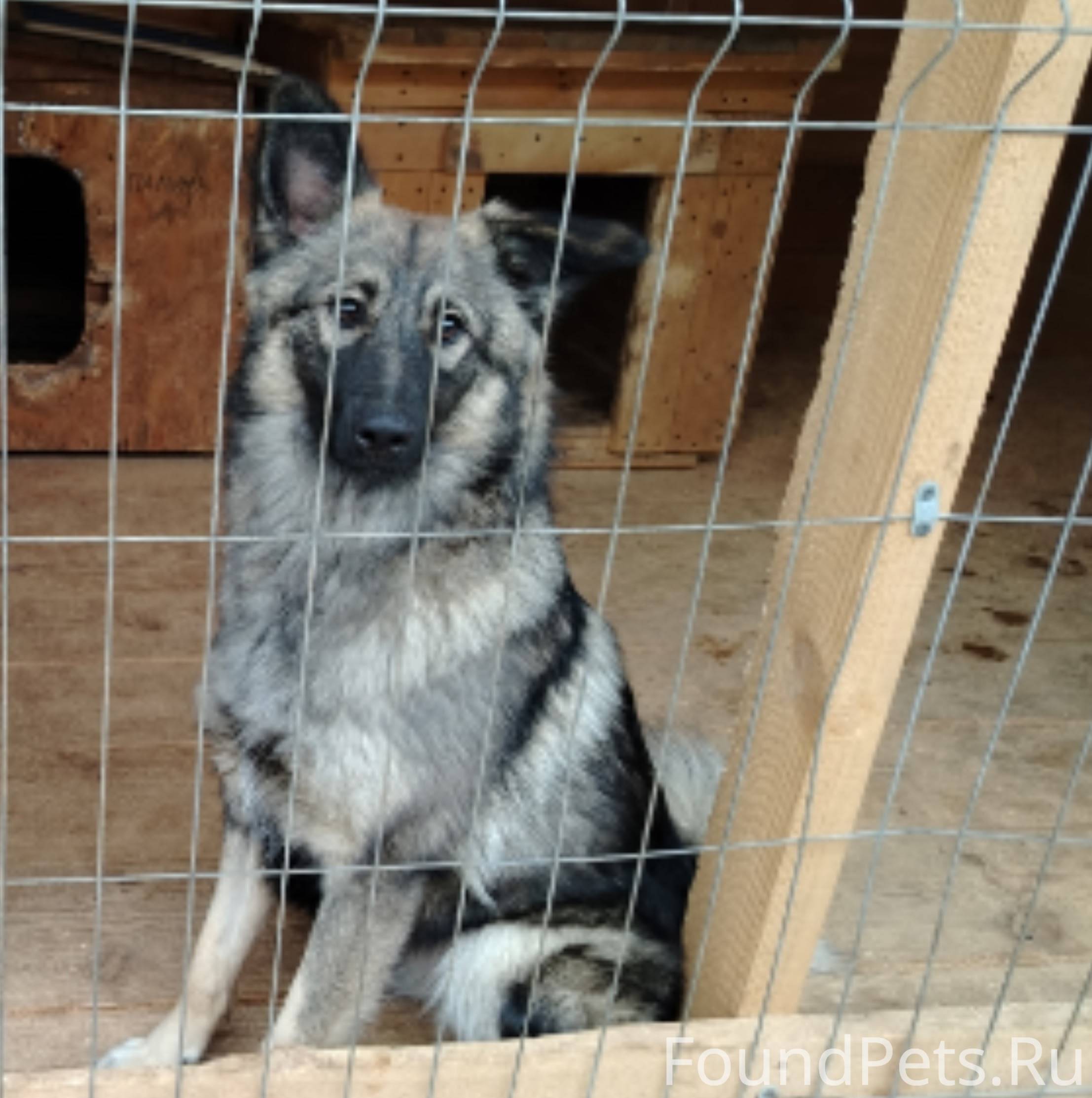 Админ, опубликуй пож-та🙏 В пят...
