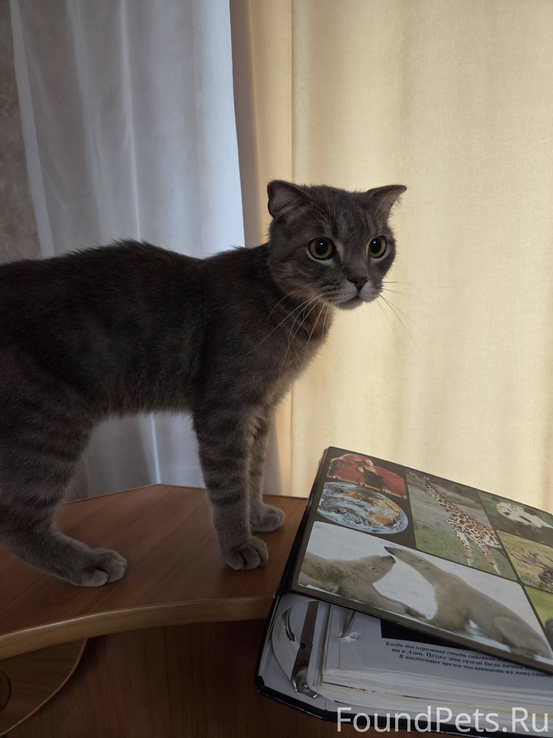 Помогите найти 🏠 и заботливые ...